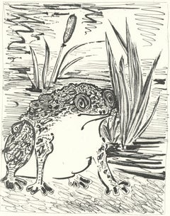 Picasso, Le Crapaud, Histoire naturelle (after)