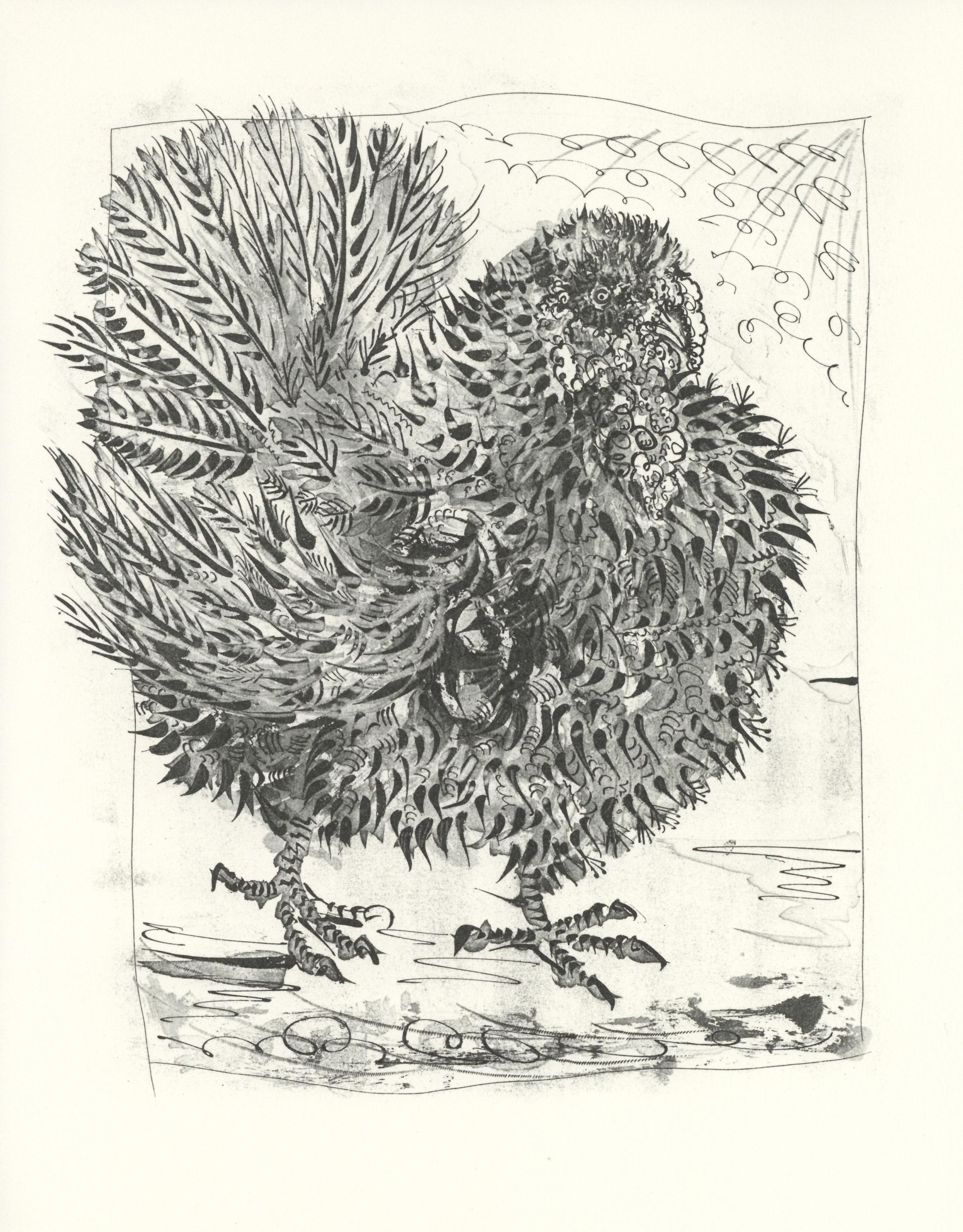 Lithographie sur papier bouffant des Papeteries de Casteljoux. Non signé et non numéroté, tel que publié. Bon état. Notes : D'après l'in-folio, Eaux-fortes originales pour des textes de Buffon (Histoire naturelle), 1970. Publié par Martin Fabiani,