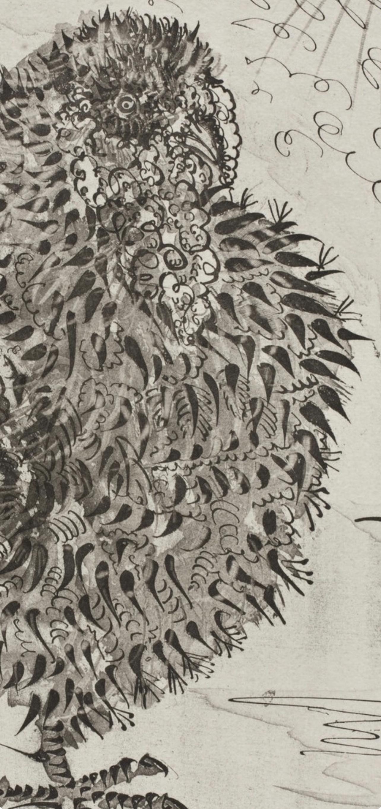 Picasso, Le Dindon, Histoire naturelle (after) For Sale 1