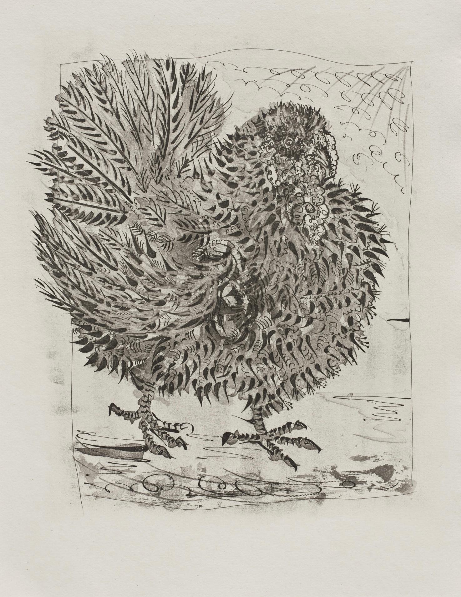 Picasso, Le Dindon, Histoire naturelle (after) For Sale 2