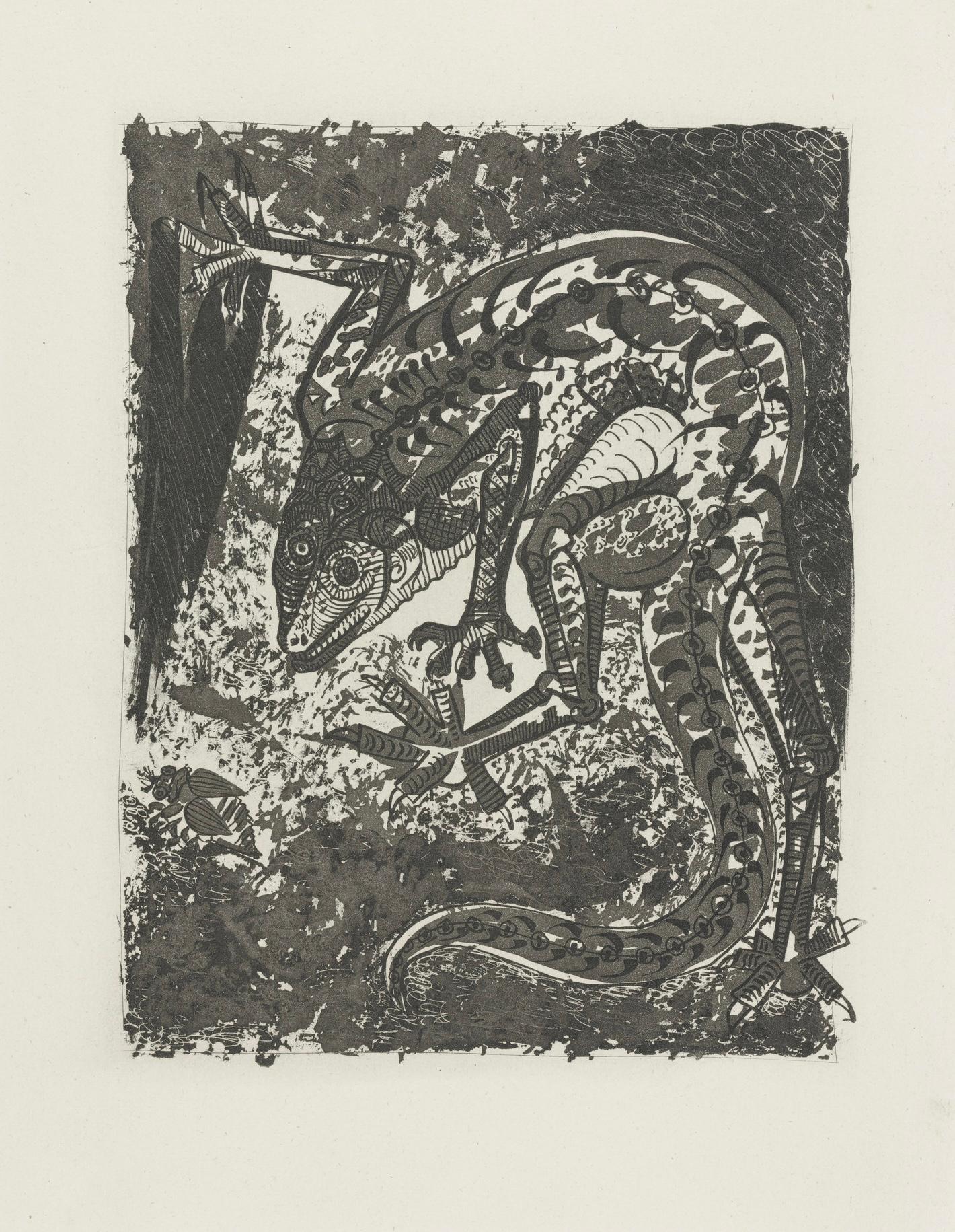 Picasso, Le Lézard, Histoire naturelle (after) For Sale 1