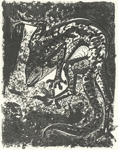 Picasso, Le Lézard, Histoire naturelle (nach)