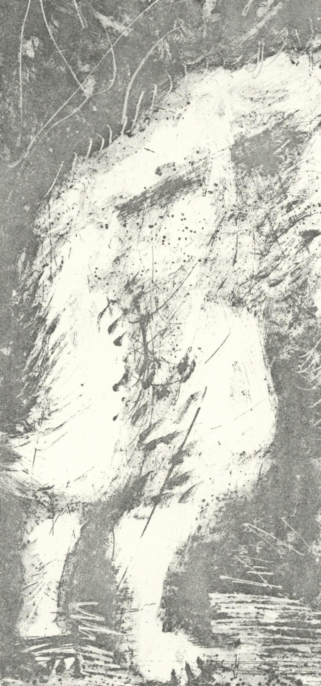 Picasso, Le Loup, Histoire naturelle (nach) (Grau), Animal Print, von Pablo Picasso