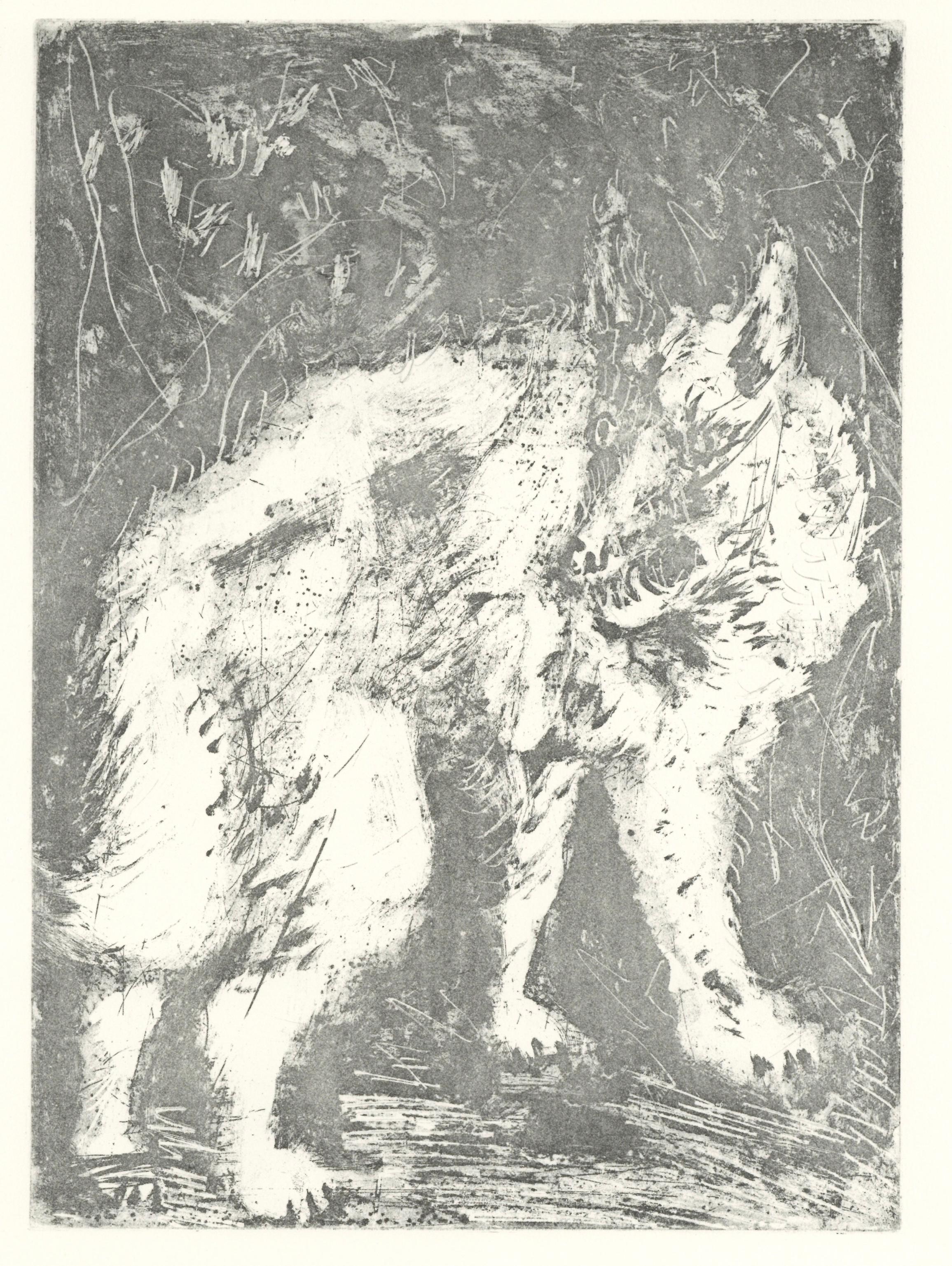 Lithographie auf Papier bouffant des Papeteries de Casteljoux. Unsigniert und nicht nummeriert, wie ausgegeben. Guter Zustand. Anmerkungen: Aus dem Folio, Eaux-fortes originale pour des textes de Buffon (Histoire naturelle), 1970. Herausgegeben von