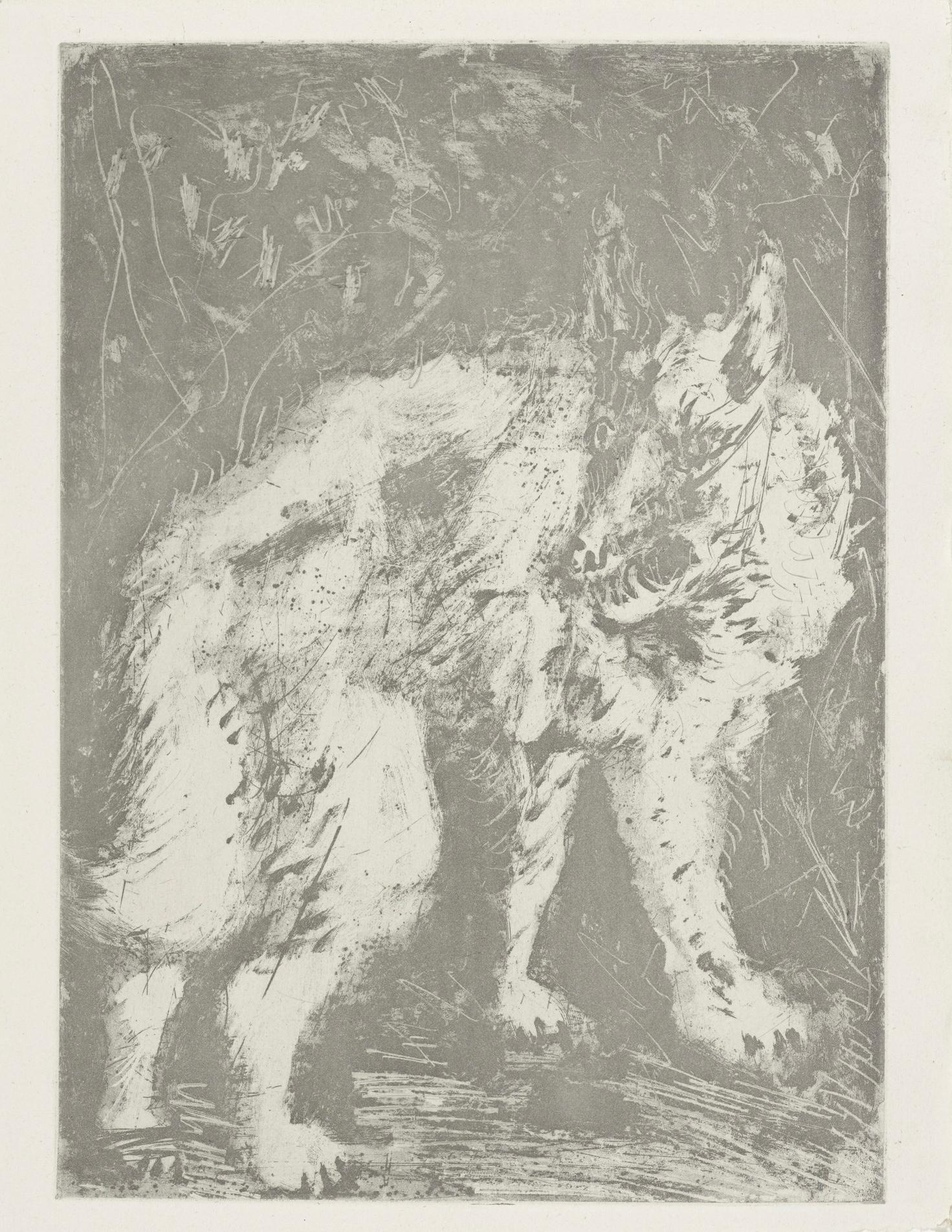 Picasso, Le Loup, Histoire naturelle (after) For Sale 2