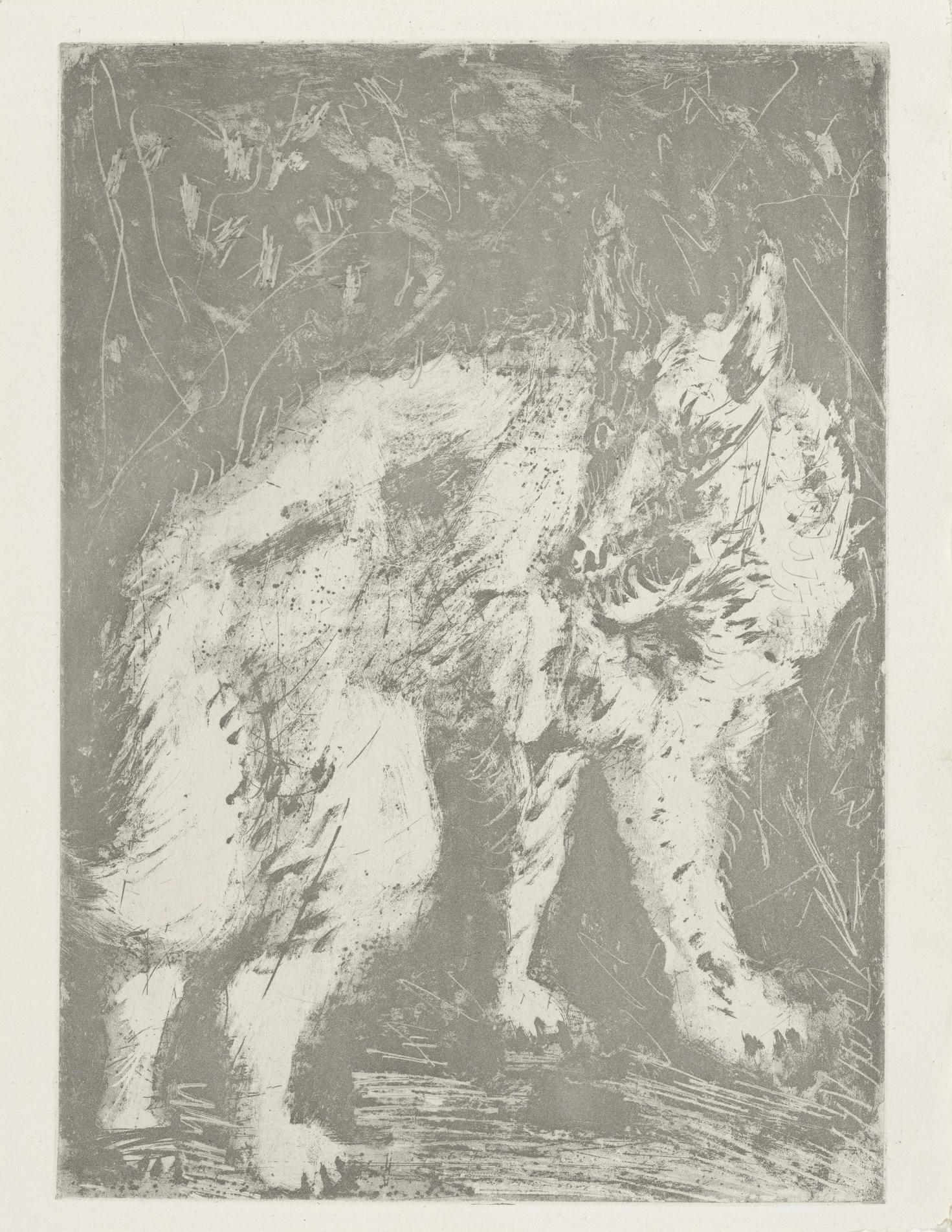 Picasso, Le Loup, Histoire naturelle (after) For Sale 1