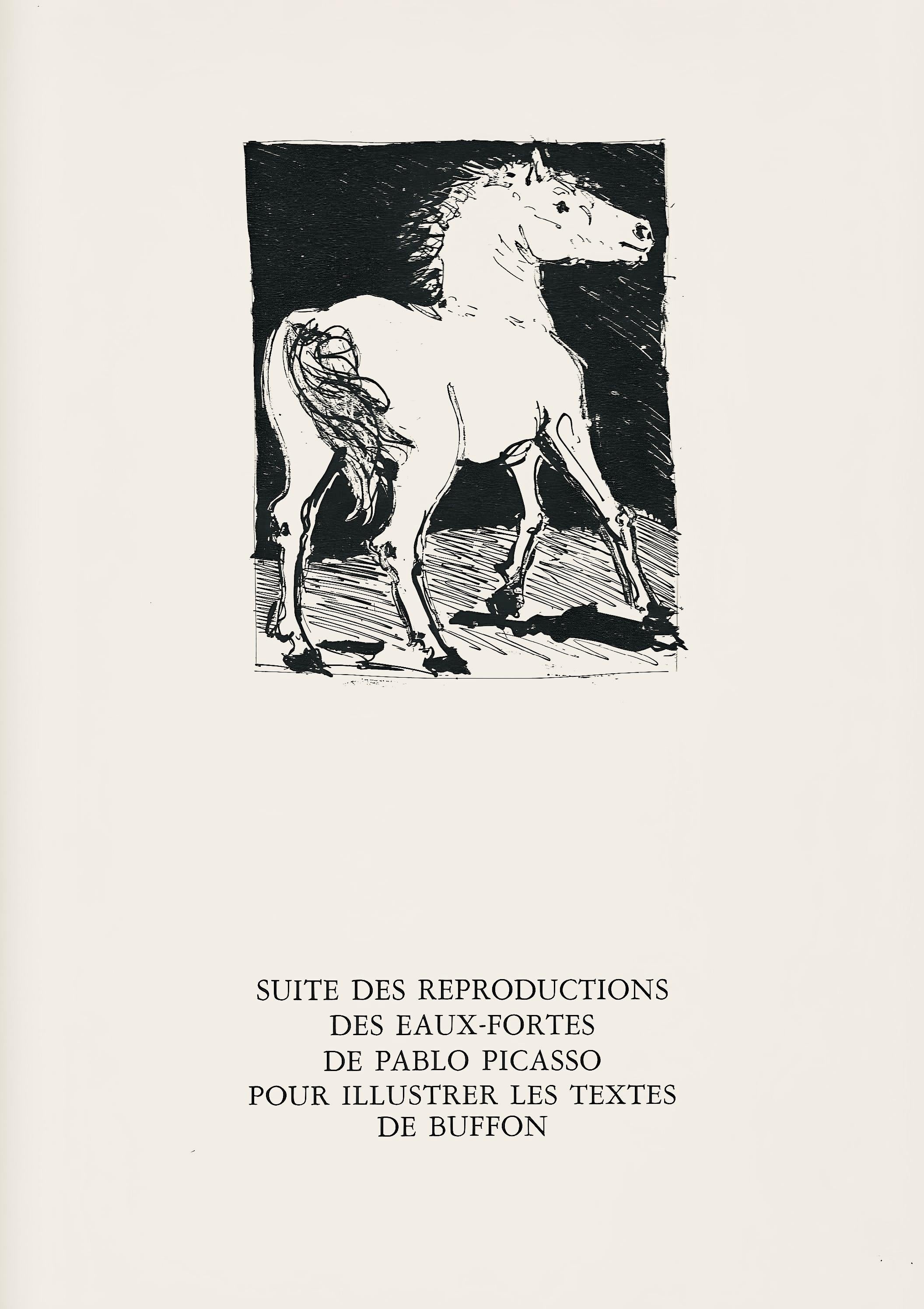 Picasso, Le Loup, Histoire naturelle (nach) im Angebot 2
