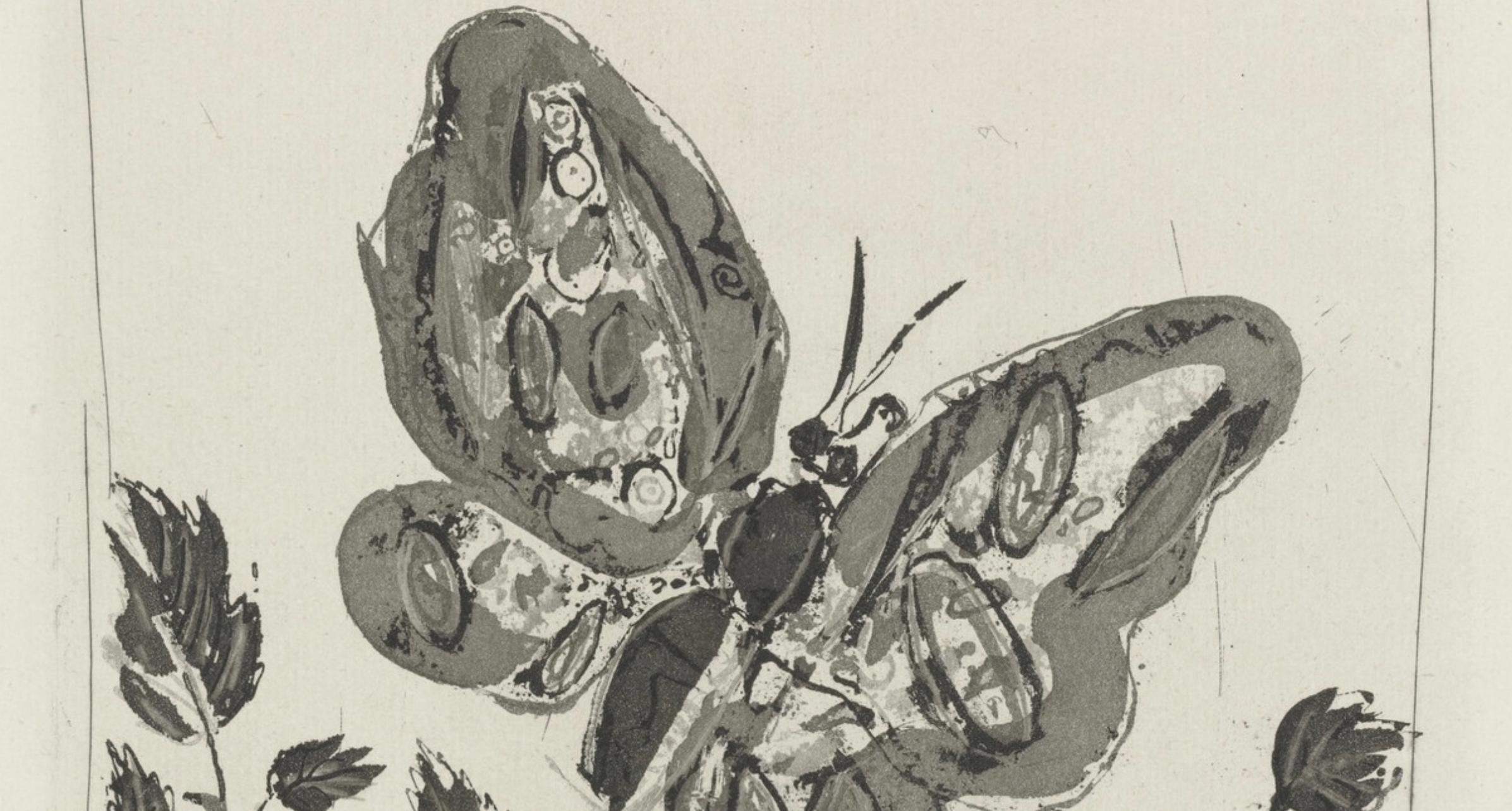 Picasso, Le Papillon, Histoire naturelle (d'après) - Moderne Print par Pablo Picasso