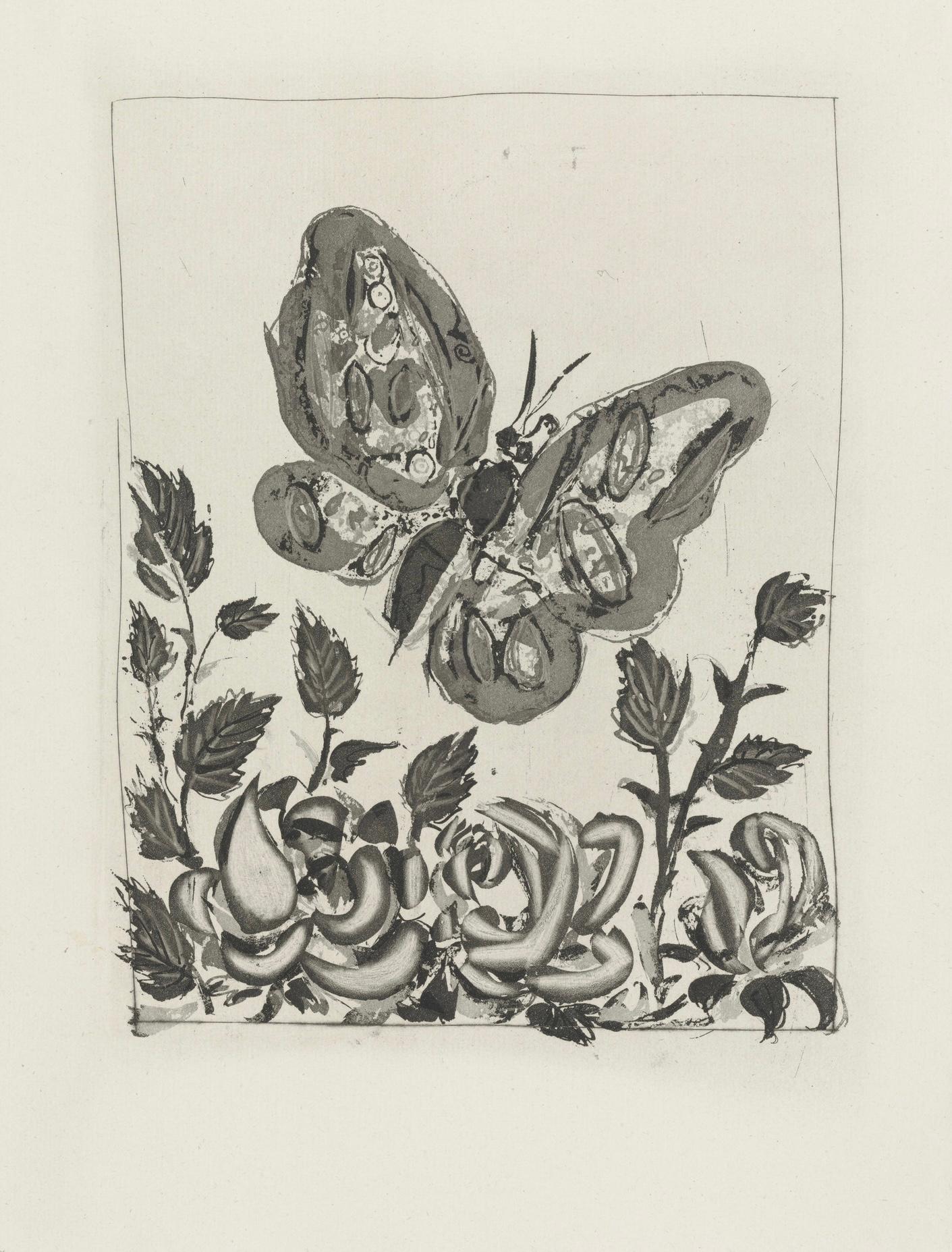 Picasso, Le Papillon, Histoire naturelle (after) For Sale 2
