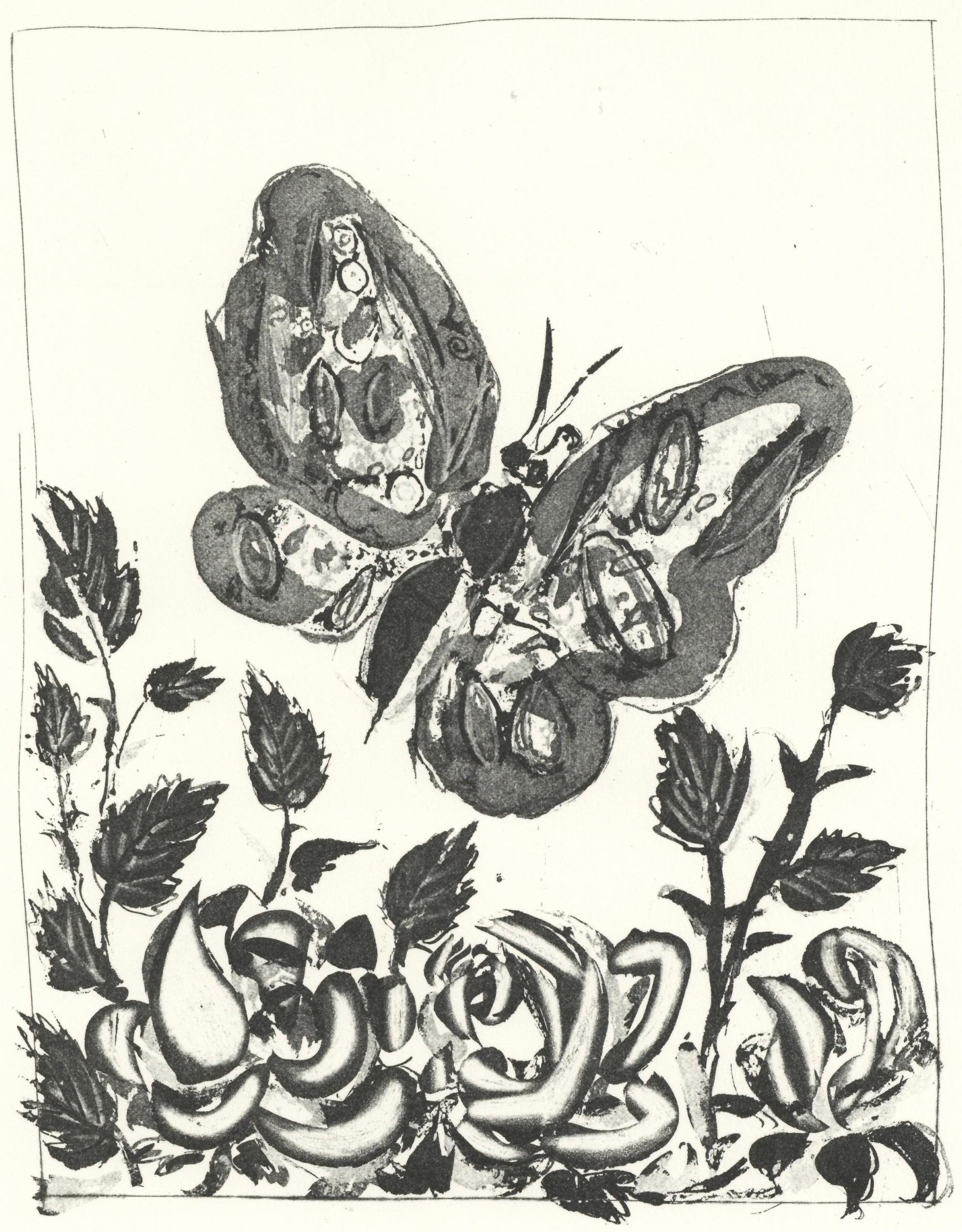 Picasso, Le Papillon, Histoire naturelle (d'après)