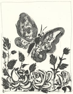 Picasso, Le Papillon, Histoire naturelle (d'après)