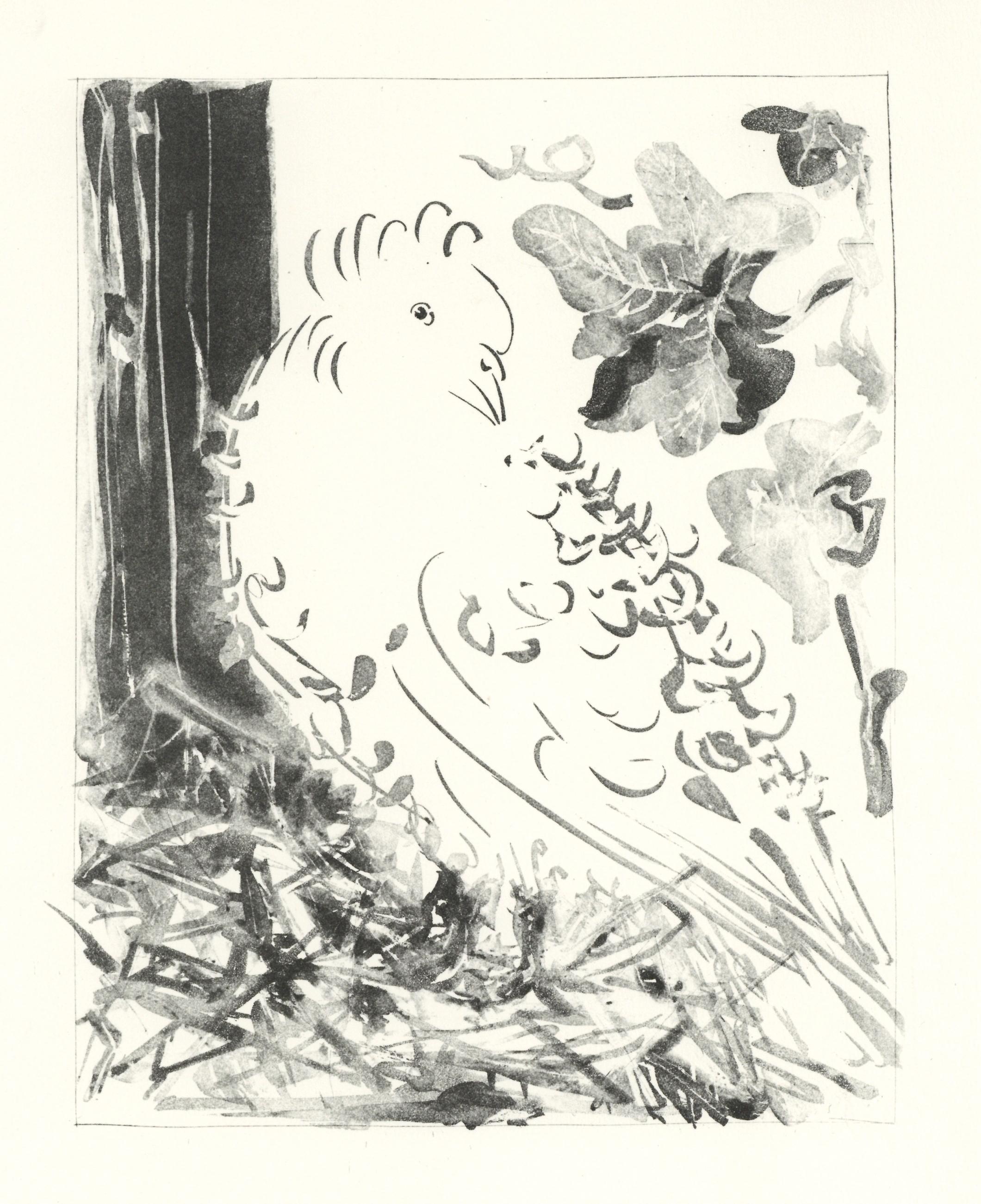 Litografía sobre papel bouffant des Papeteries de Casteljoux. Sin firmar y sin numerar, tal como se publicó. Buen estado. Notas: Del folio, Eaux-fortes originale pour des textes de Buffon (Histoire naturelle), 1970. Publicado por Martin Fabiani,