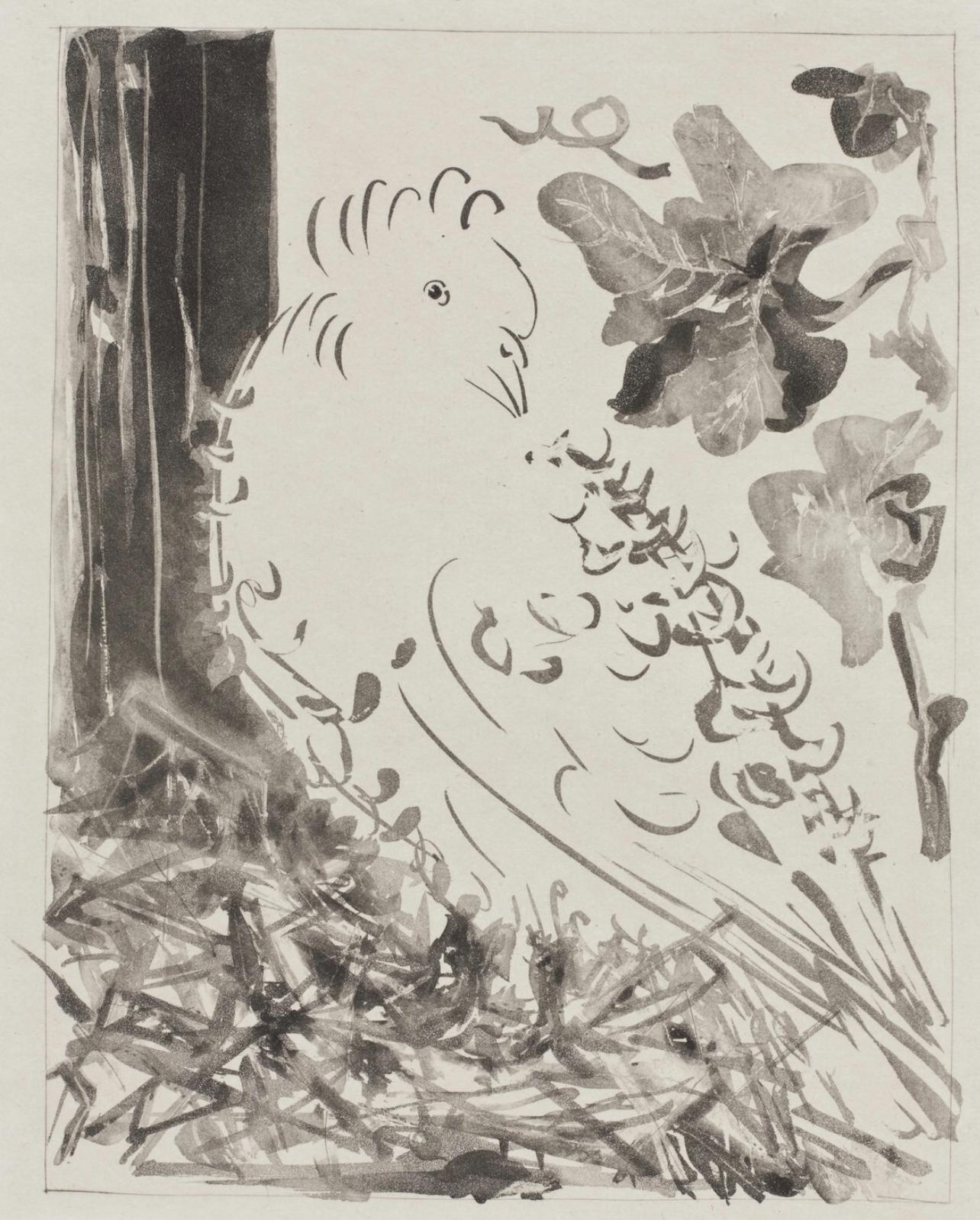Landscape Print Pablo Picasso - Picasso, Le Pigeon, Histoire naturelle (d'après)