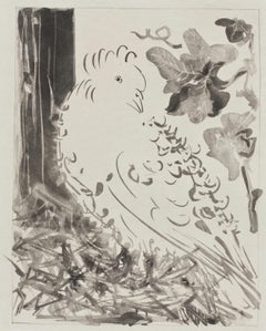 Vintage Picasso, Le Pigeon, Histoire naturelle (after)
