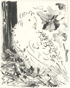 Picasso, La paloma, Historia natural (después)