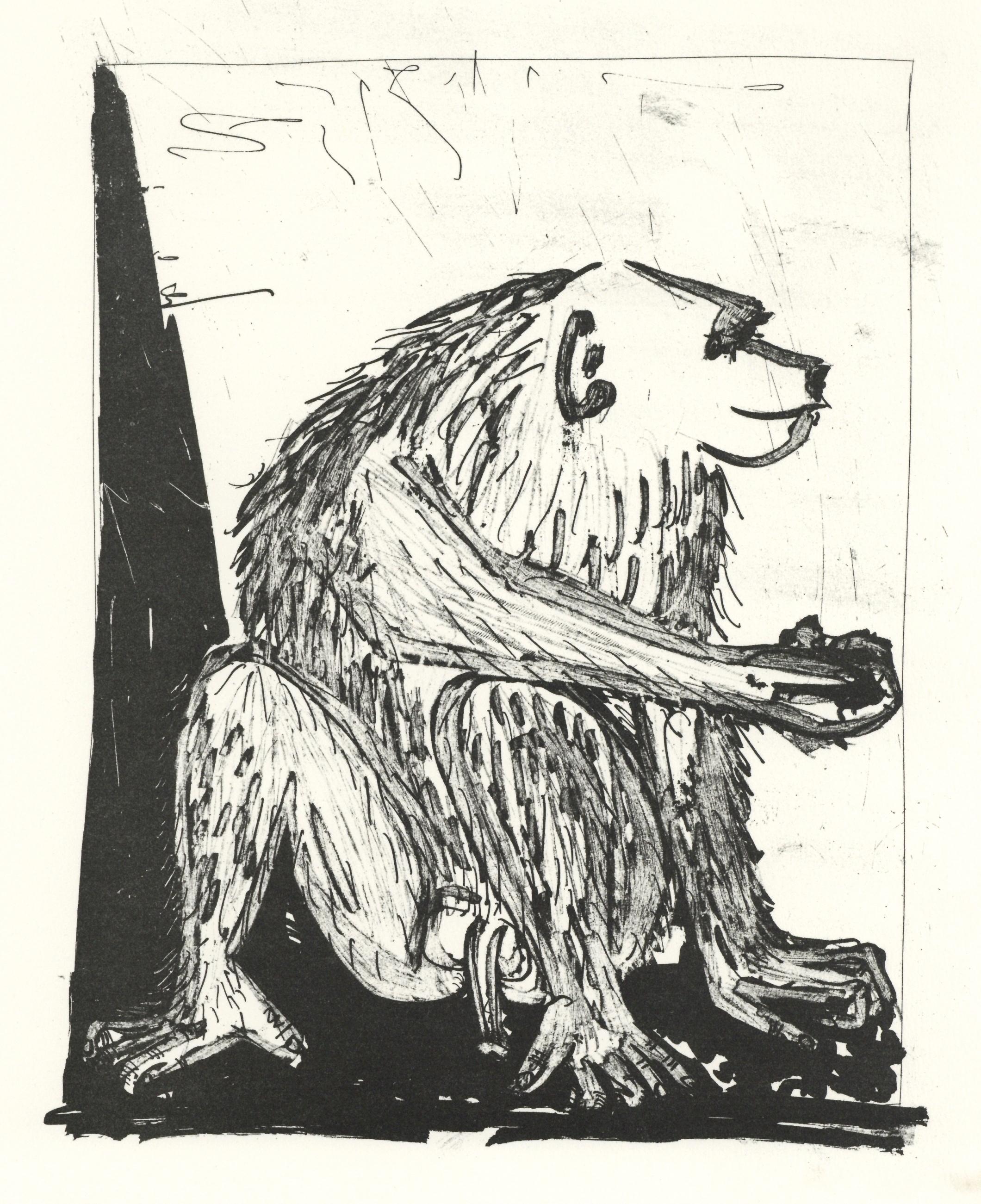 Litografia su carta papier bouffant des Papeteries de Casteljoux. Non firmato e non numerato, come da edizione. Buone condizioni. Note: Dal folio, Eaux-fortes originale pour des textes de Buffon (Histoire naturelle), 1970. Pubblicato da Martin