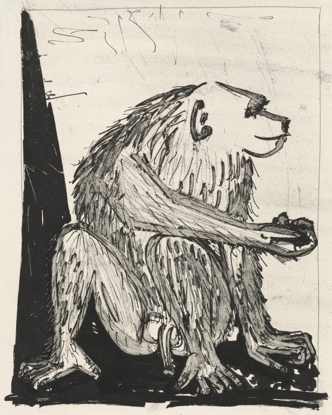 Picasso, Le Singe, Histoire naturelle (after)