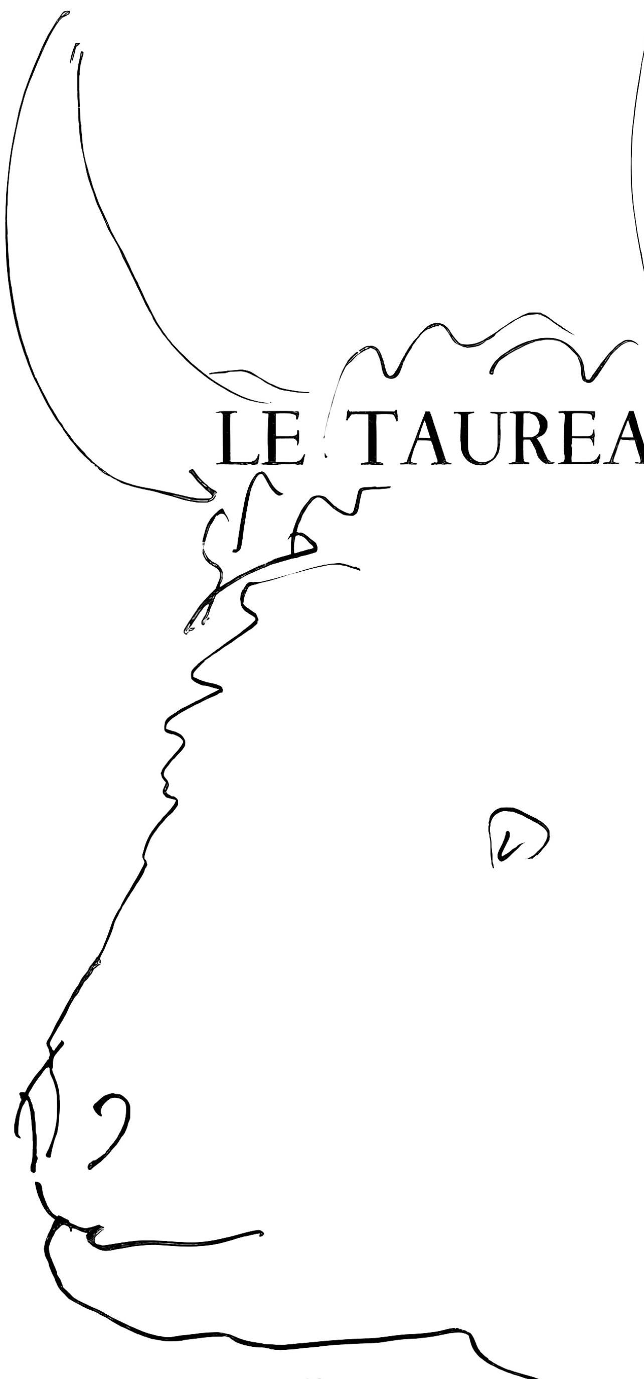 Picasso, Le taureau (Cramer 84 ; Johnson/Stein 77) (d'après) - Print de Pablo Picasso