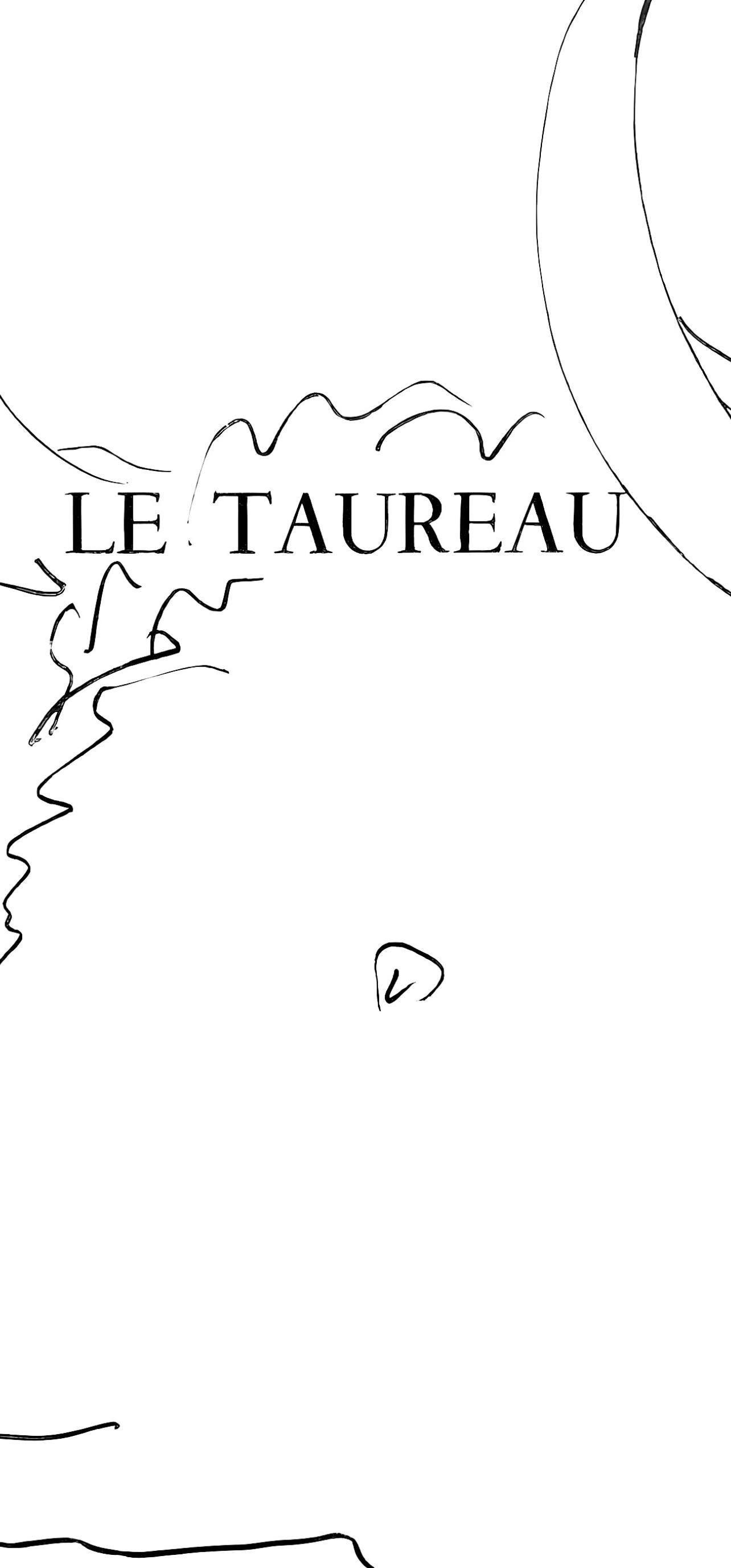 Picasso, Le taureau (Cramer 84 ; Johnson/Stein 77) (d'après) - Cubisme Print par Pablo Picasso