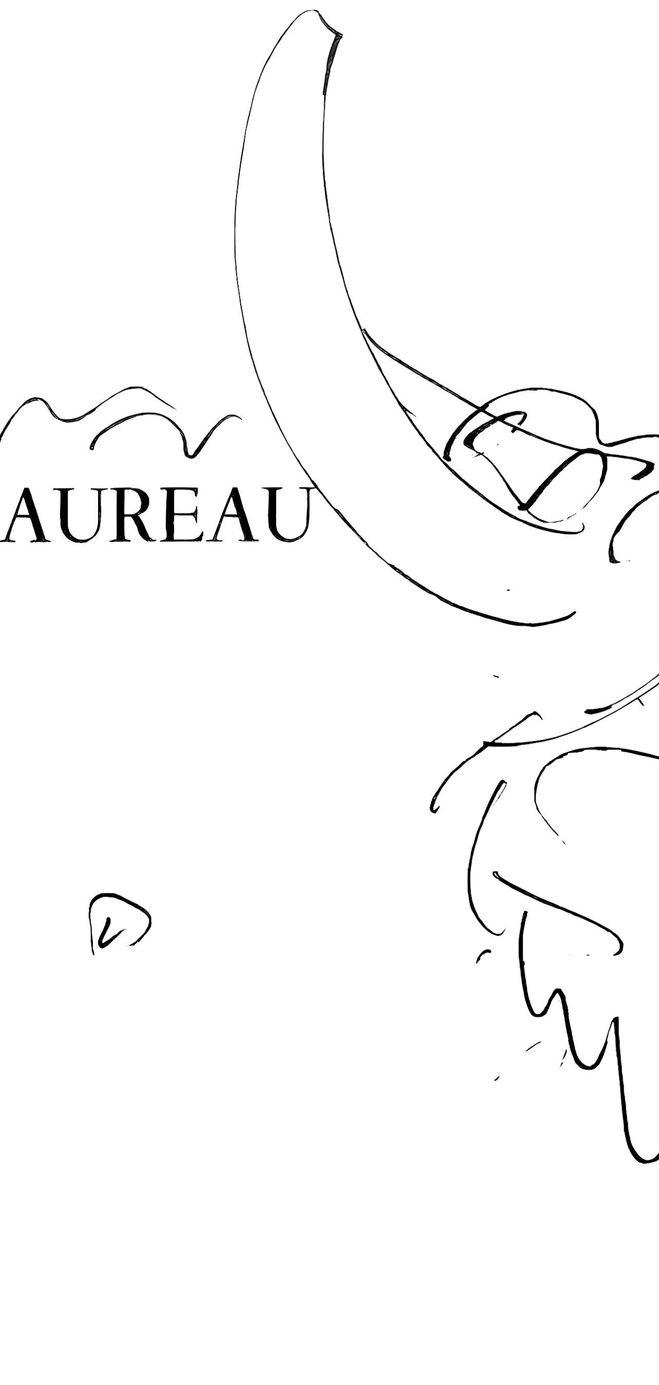Picasso, Le taureau (Cramer 84 ; Johnson/Stein 77) (d'après) - Gris Animal Print par Pablo Picasso