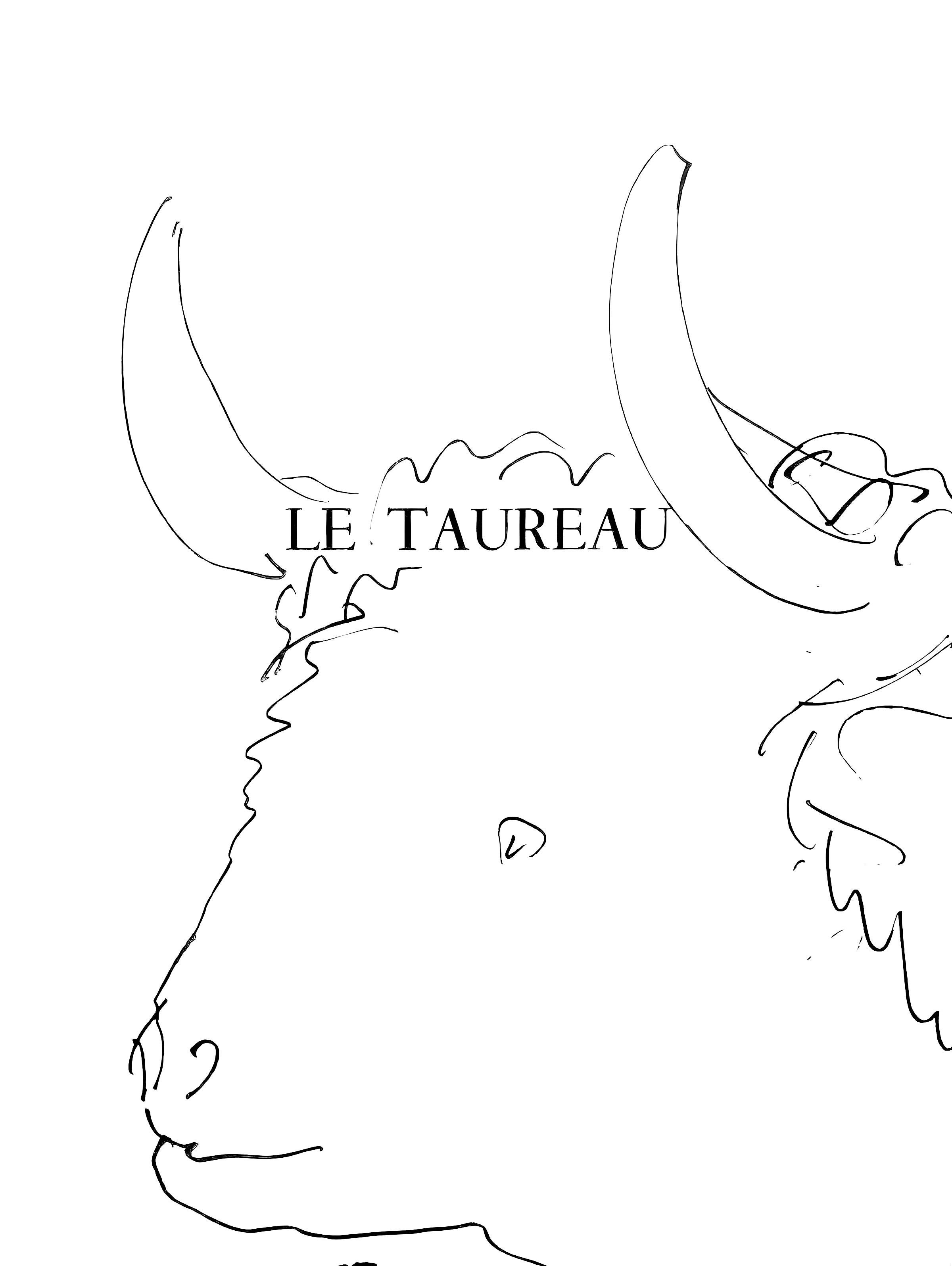 Animal Print Pablo Picasso - Picasso, Le taureau (Cramer 84 ; Johnson/Stein 77) (d'après)