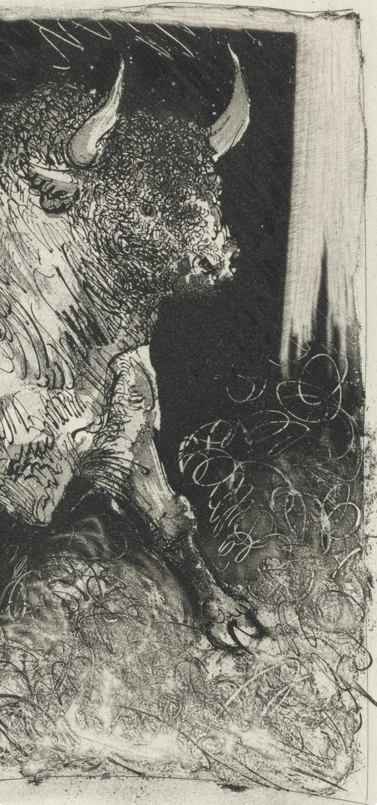 Picasso, Le Taureau, Histoire naturelle (after) - Print by Pablo Picasso