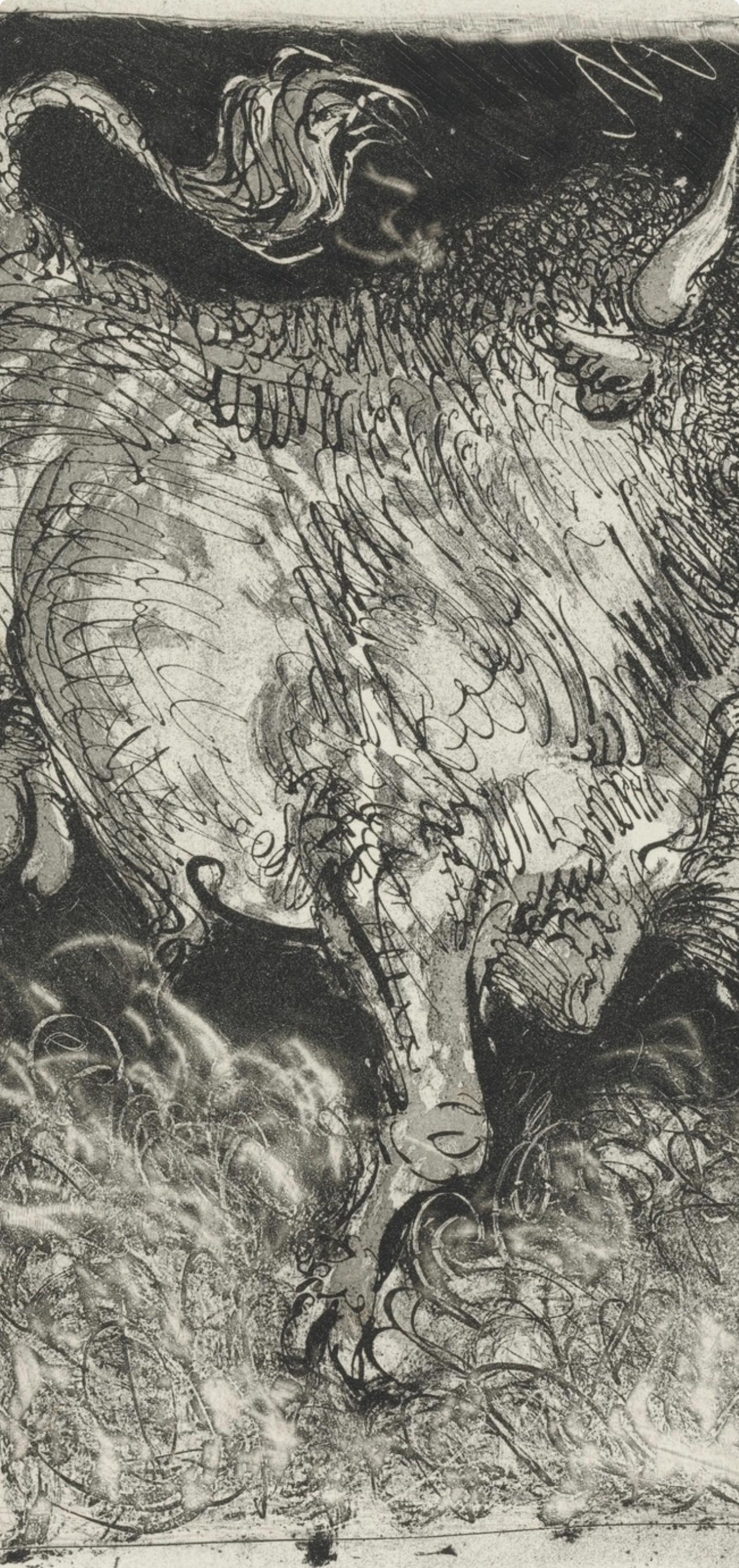 Picasso, Le Taureau, Histoire naturelle (after) - Gray Animal Print by Pablo Picasso