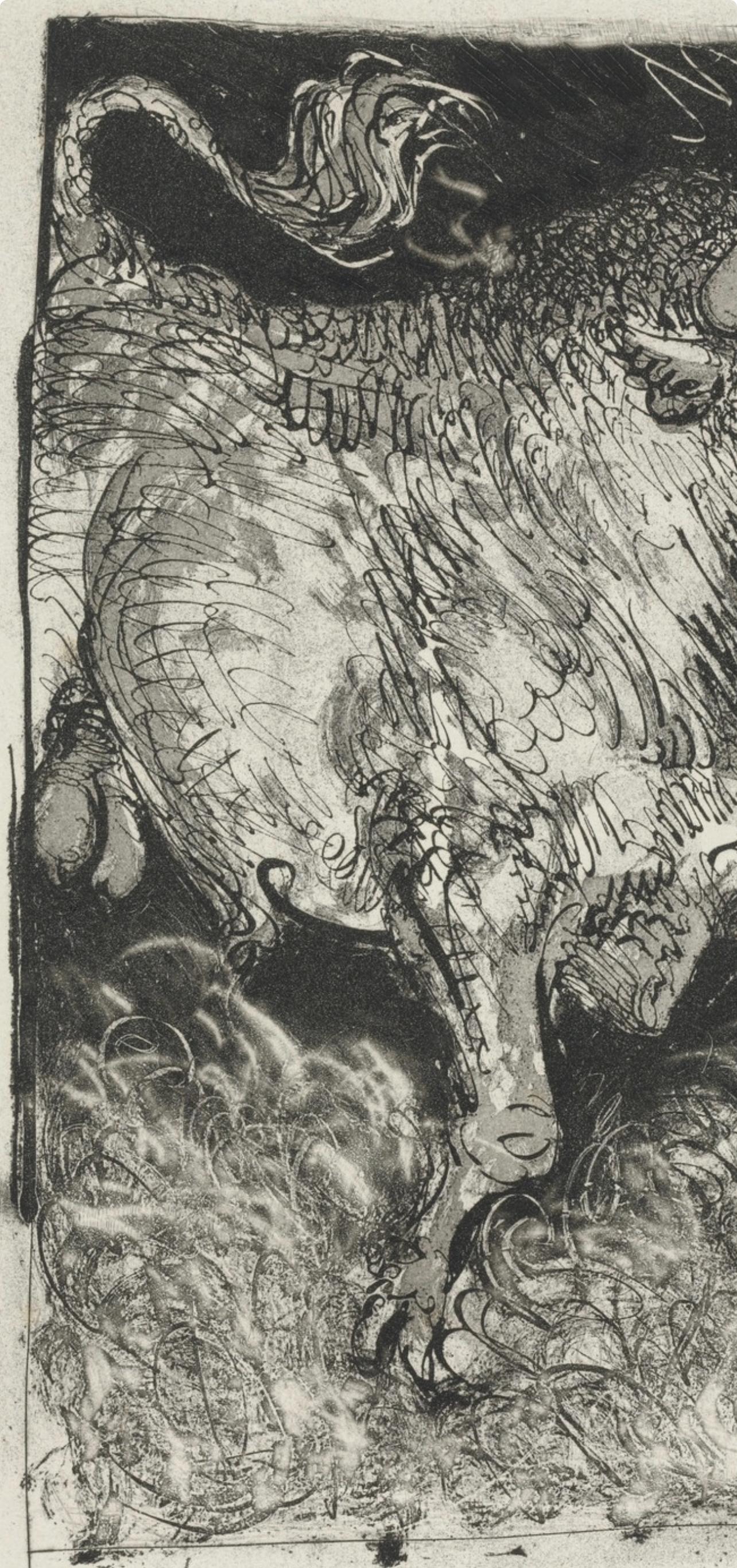 Picasso, Le Taureau, Histoire naturelle (after) For Sale 1