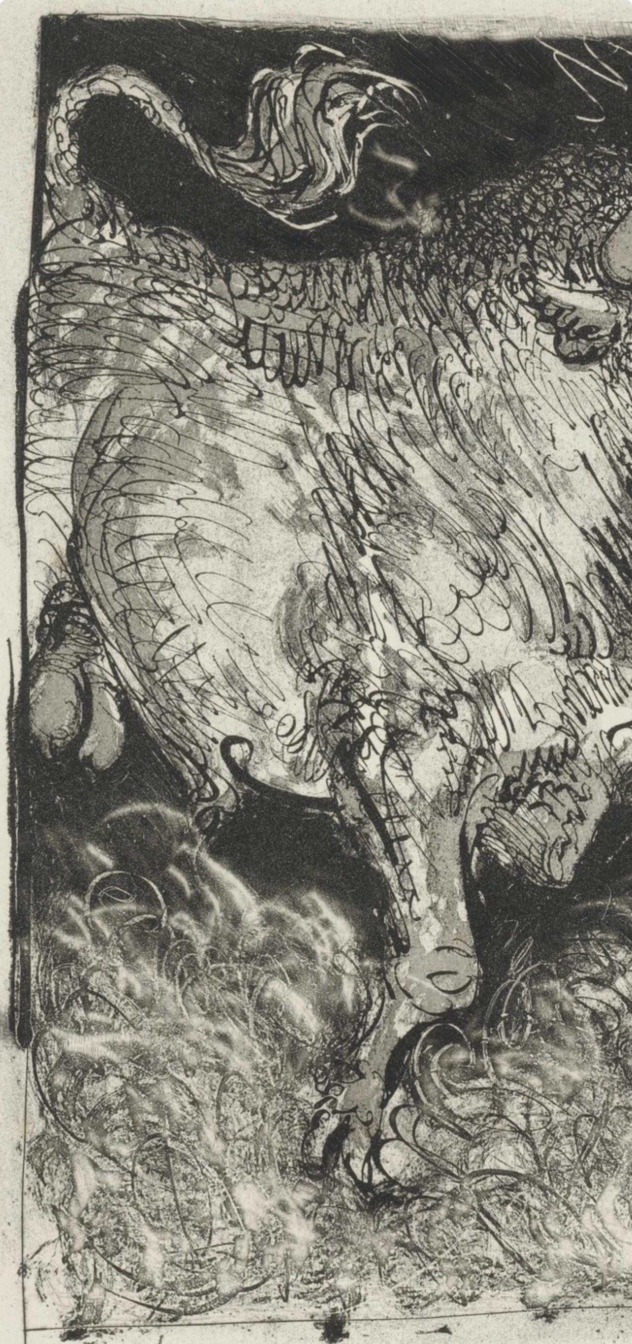 Lithograph on papier bouffant des Papeteries de Casteljoux paper. Unsigned and unnumbered, as issued. Good condition. Notes: From the folio, Eaux-fortes originale pour des textes de Buffon (Histoire naturelle), 1970. Published by Martin Fabiani,