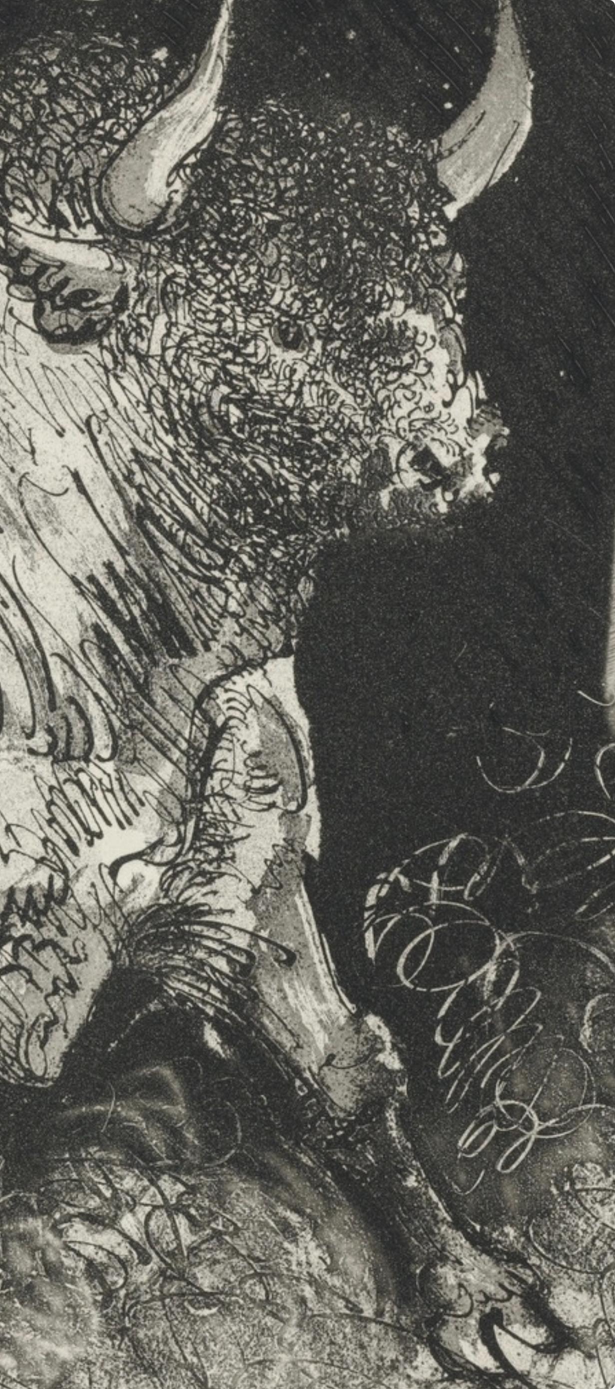 Picasso, Le Taureau, Histoire naturelle (after) For Sale 2