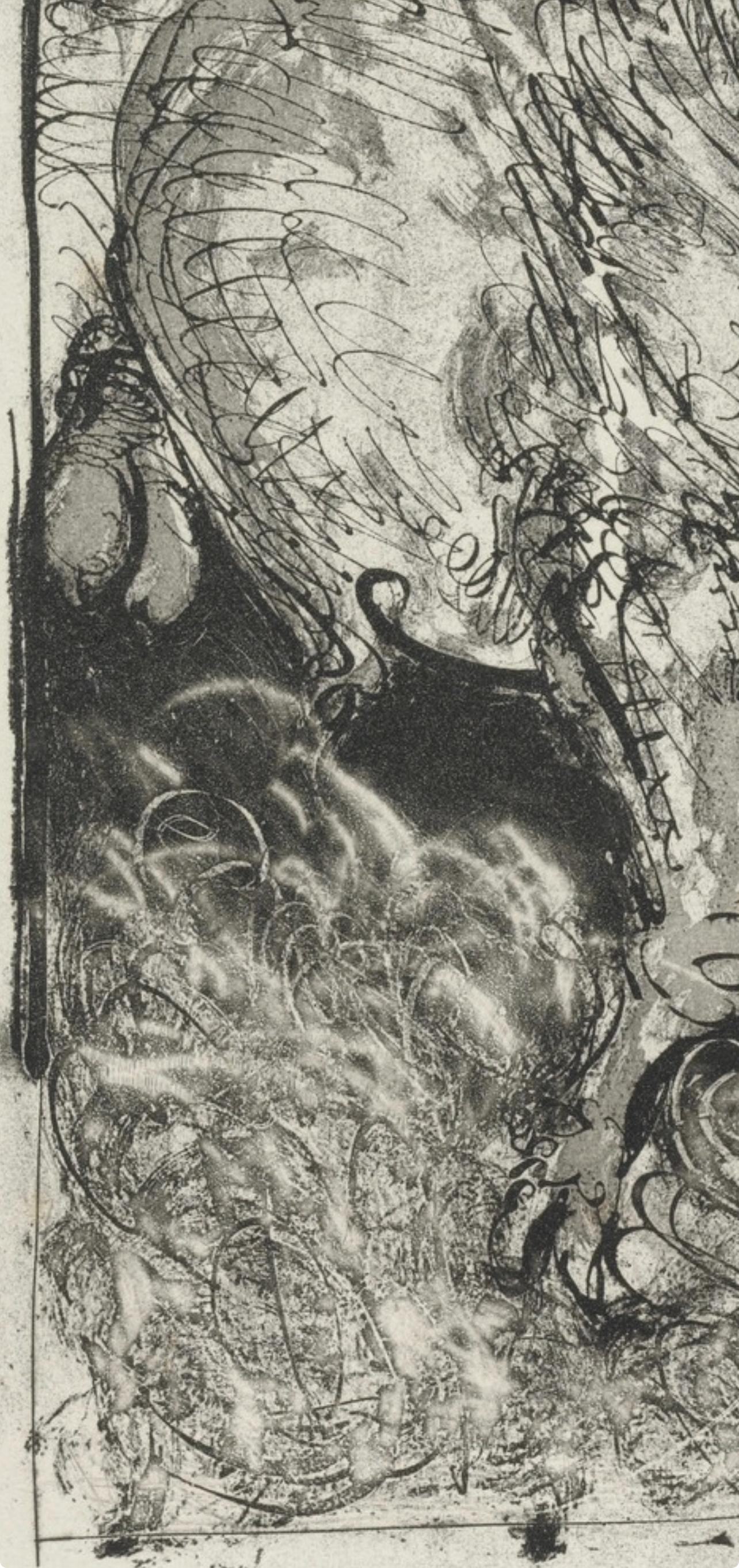 Picasso, Le Taureau, Histoire naturelle (after) For Sale 3