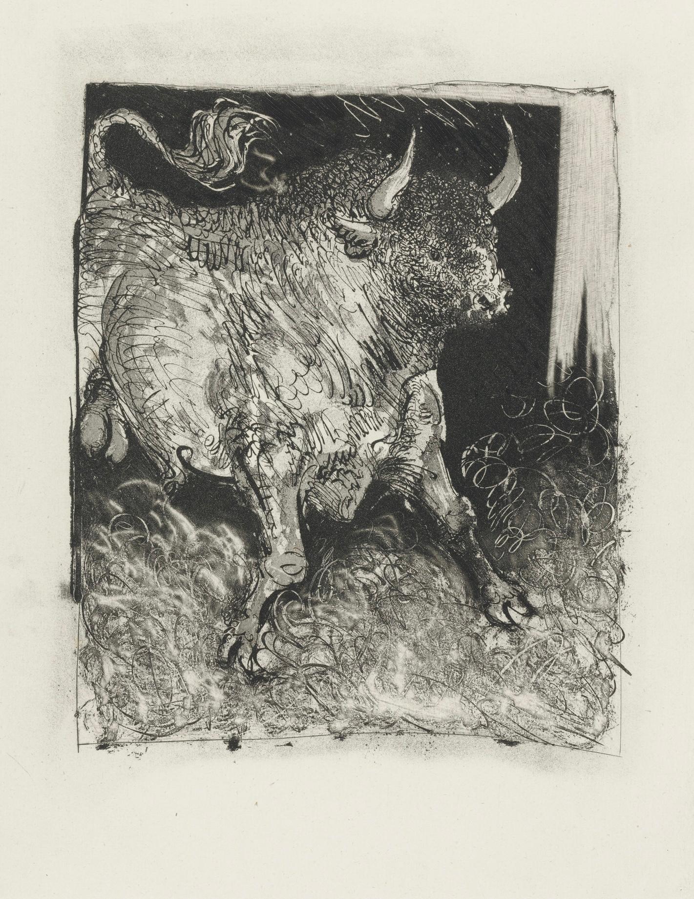 Picasso, Le Taureau, Histoire naturelle (after) For Sale 3