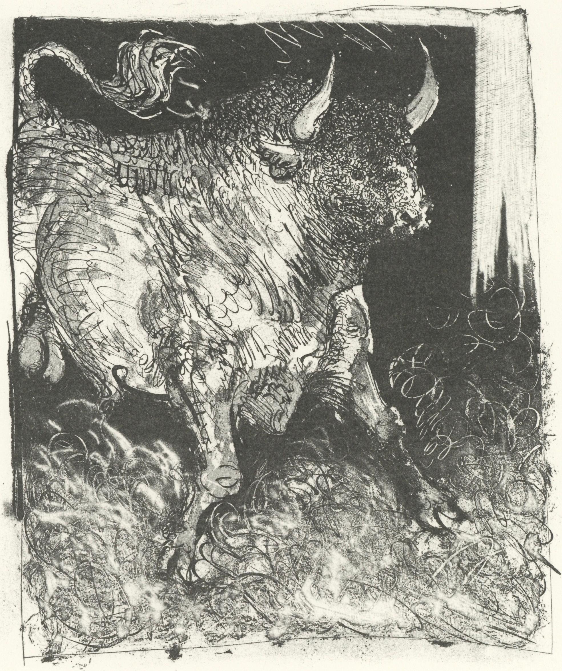Picasso, Le Taureau, Histoire naturelle (nach)