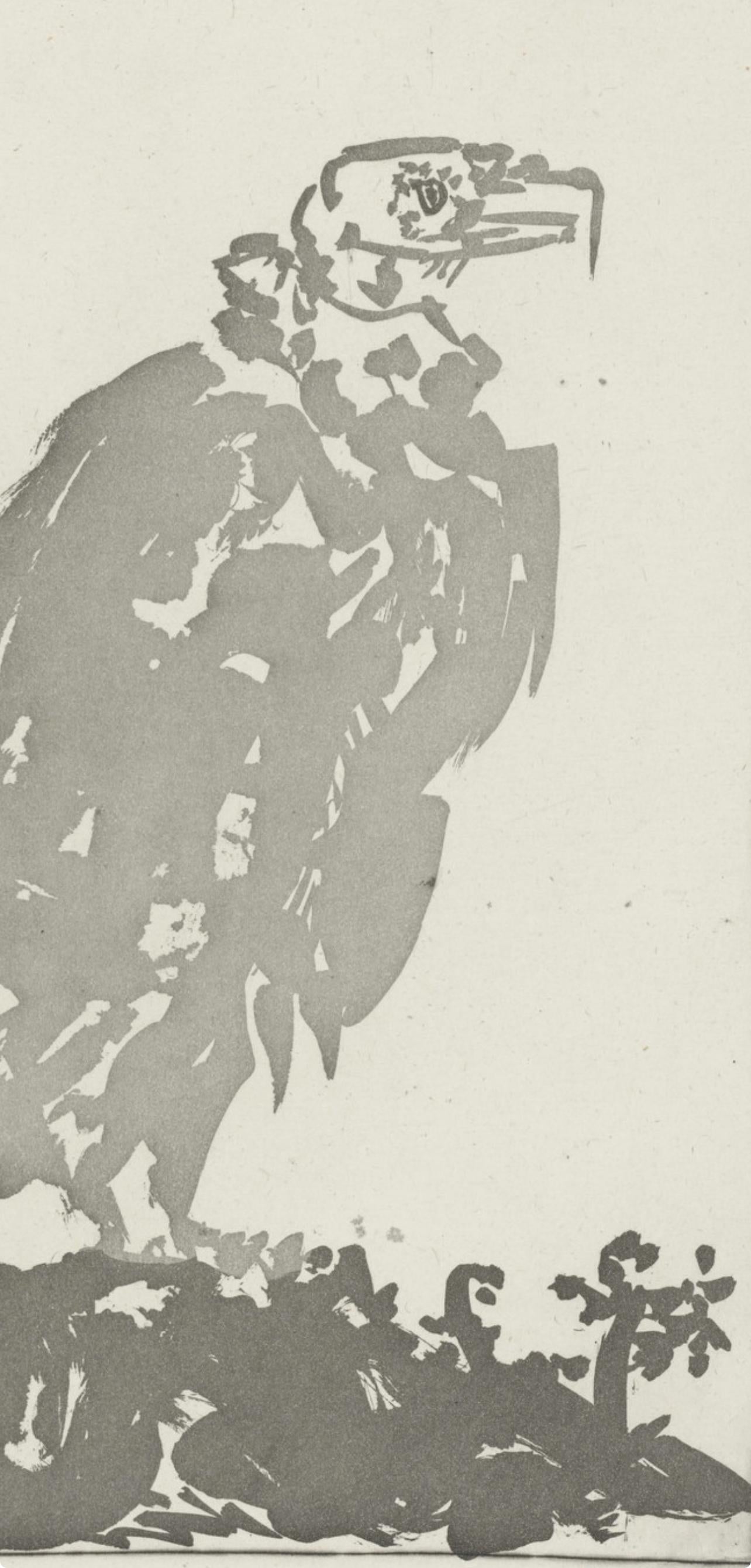 Picasso, Le Vautour, Histoire naturelle (nach) – Print von Pablo Picasso