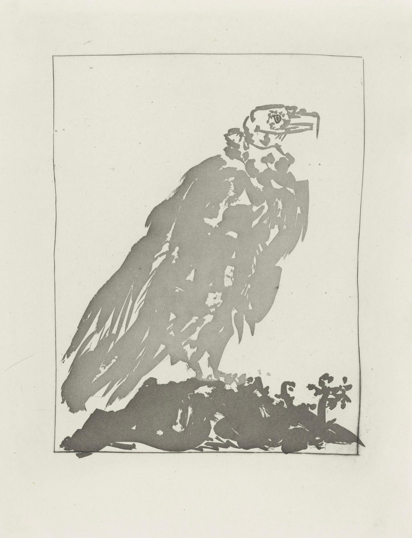 Lithographie auf Papier bouffant des Papeteries de Casteljoux. Unsigniert und nicht nummeriert, wie ausgegeben. Guter Zustand. Anmerkungen: Aus dem Folio, Eaux-fortes originale pour des textes de Buffon (Histoire naturelle), 1970. Herausgegeben von
