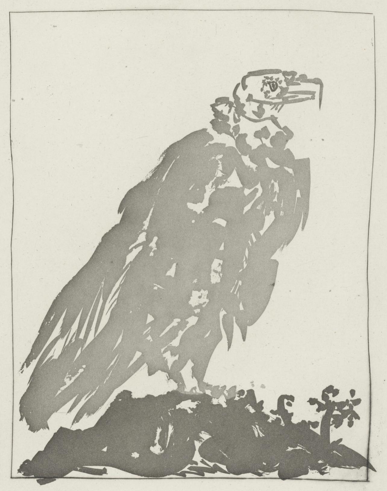 Picasso, Le Vautour, Histoire naturelle (nach)
