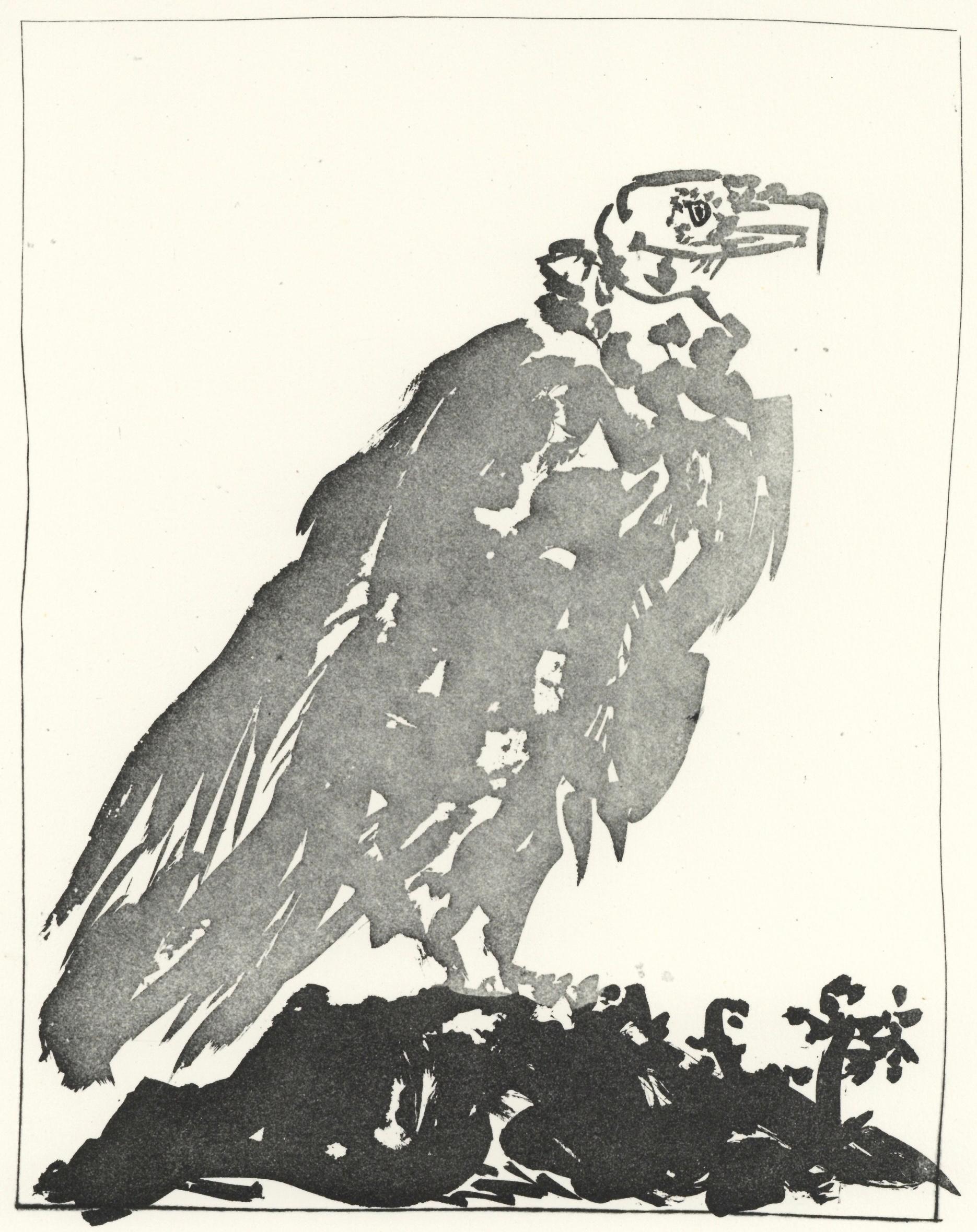 Picasso, Le Vautour, Histoire naturelle (después de)