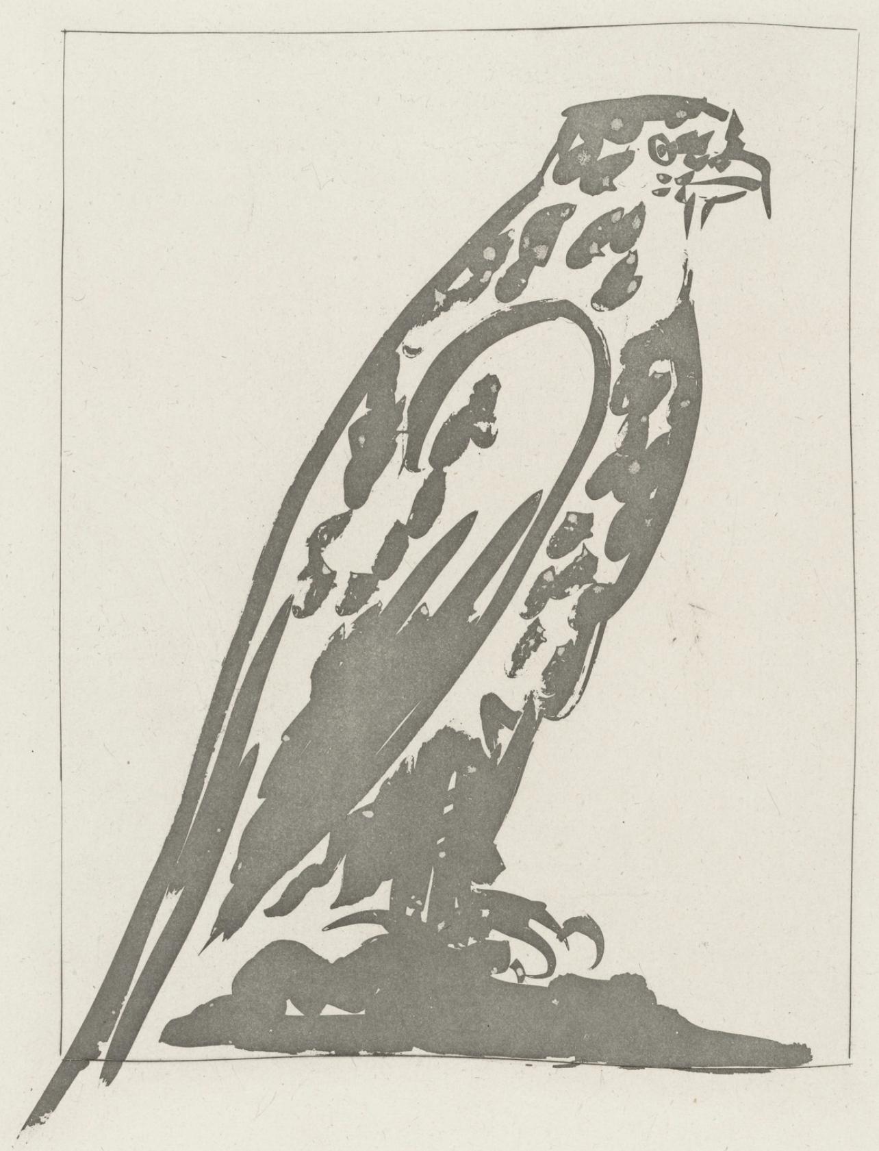 Picasso, L'Épervier, Histoire naturelle (after)