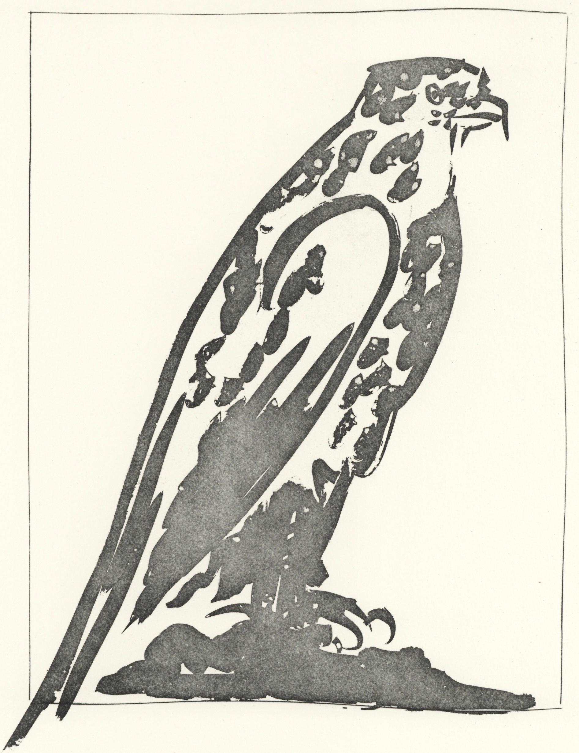 Picasso, L'Épervier, Histoire naturelle (nach)