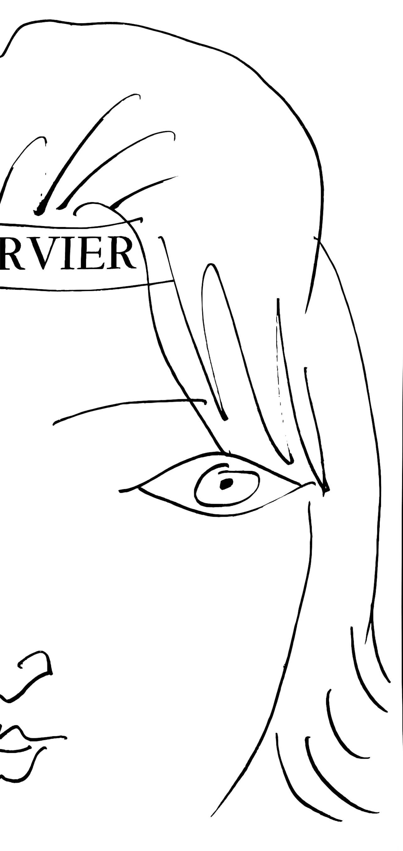 Picasso, L'épervier, visage de femme (Cramer 84 ; Johnson/Stein 77) (d'après) - Cubisme Print par Pablo Picasso