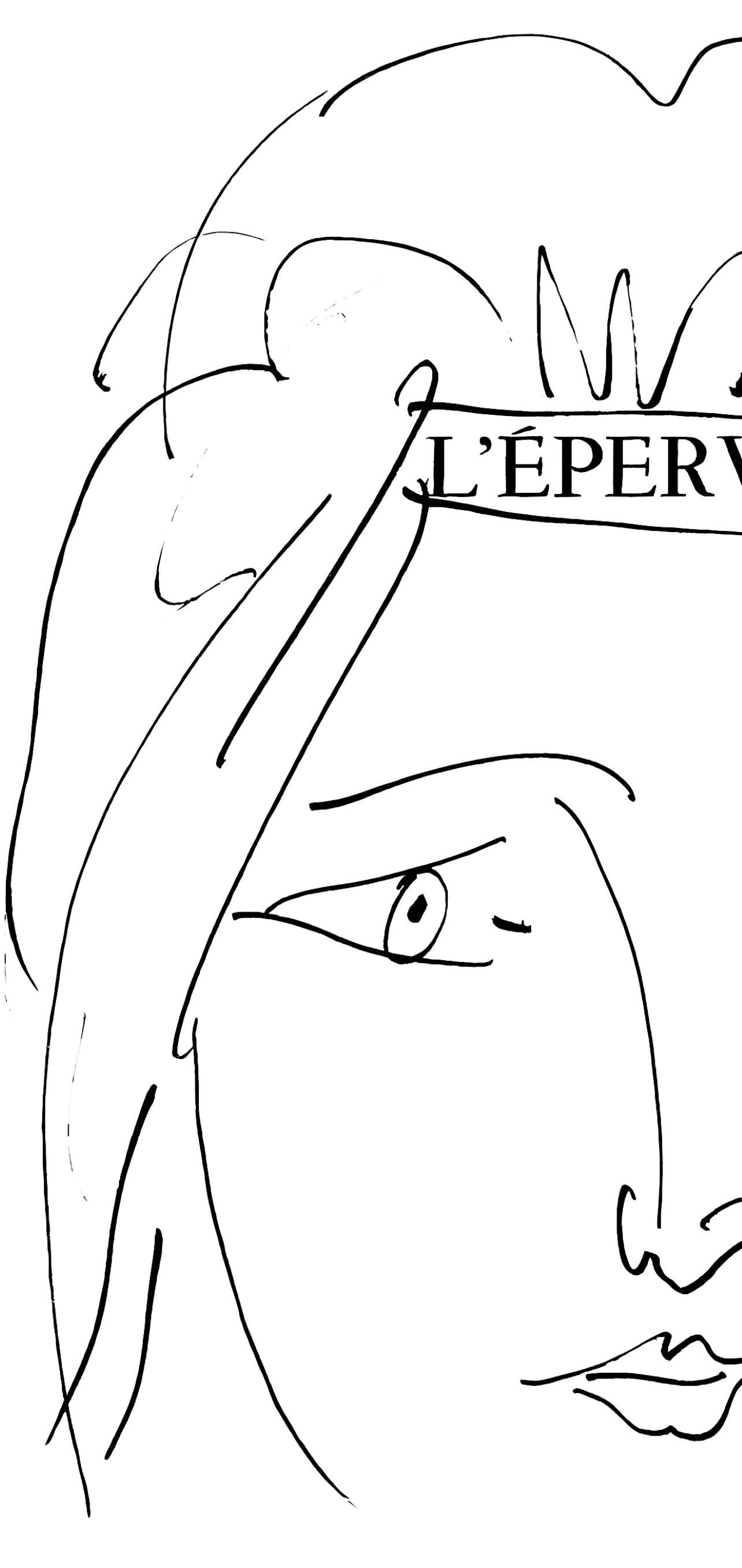 Picasso, L'épervier, visage de femme (Cramer 84 ; Johnson/Stein 77) (d'après) - Gris Abstract Print par Pablo Picasso