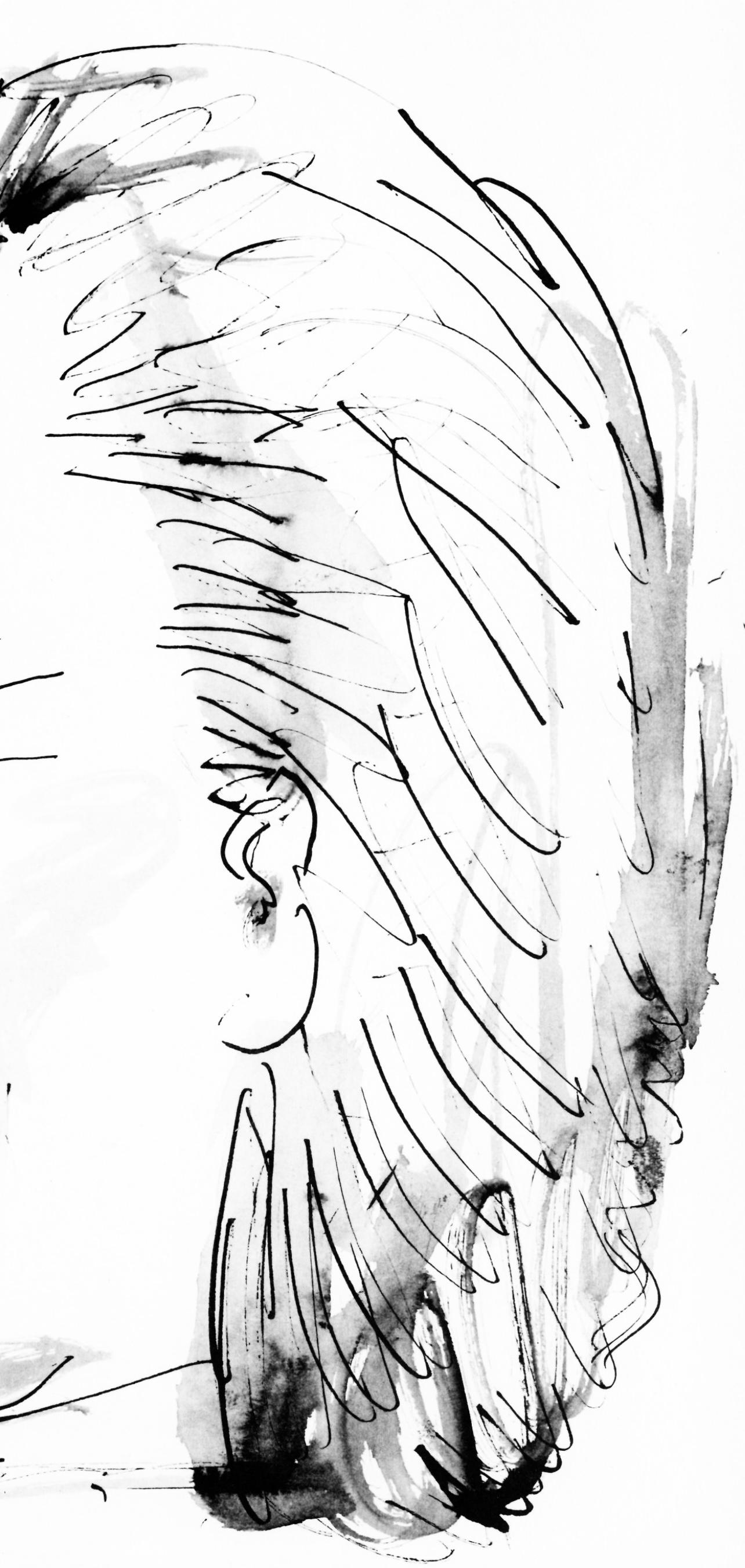 Picasso, Profil de vieille femme, trait et lavis (Cramer 84; J./S. 77) (dopo) - Print Cubismo di Pablo Picasso