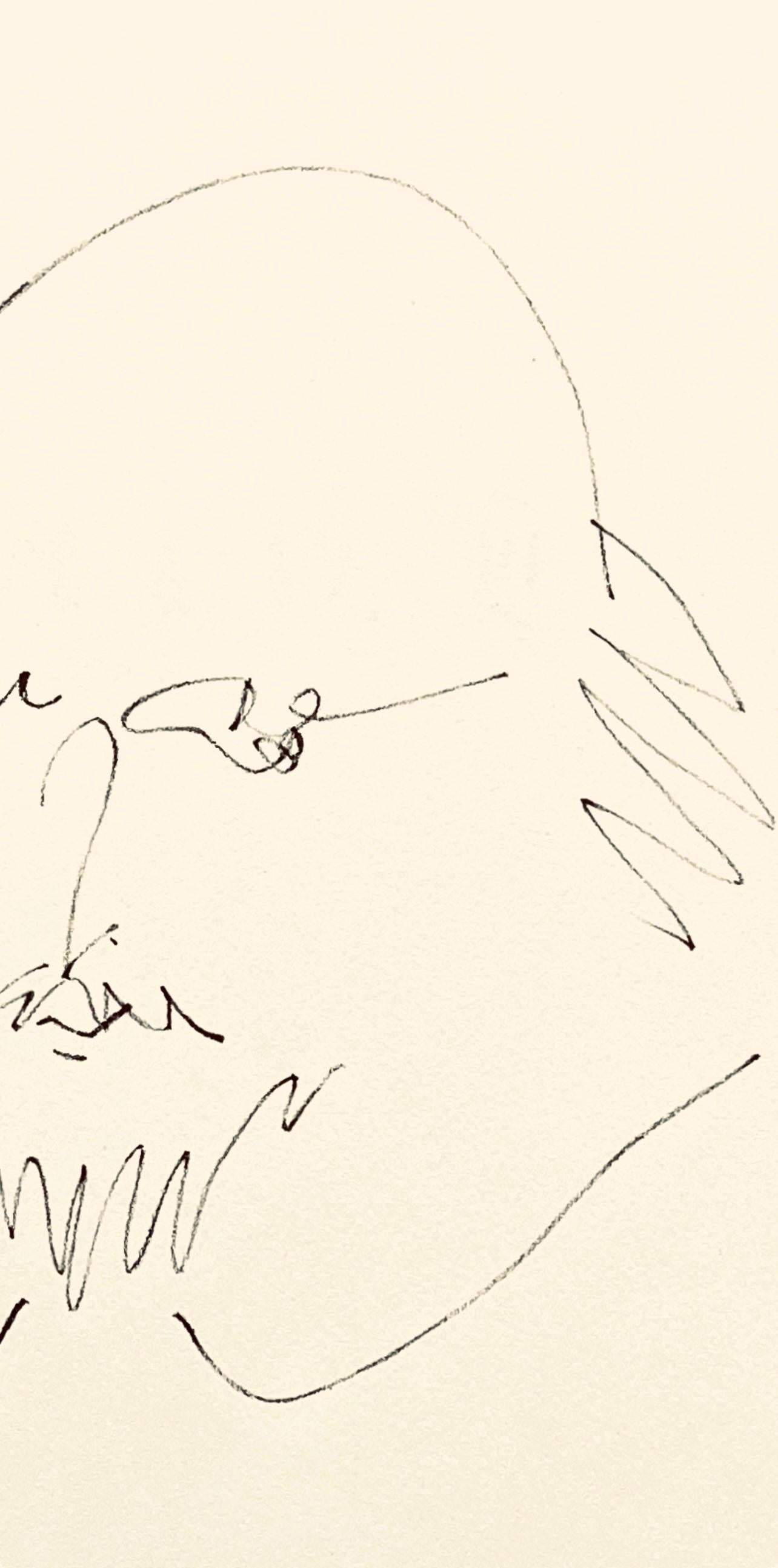 Picasso, Shakespeare XI (Bloch 1197), Picasso-Aragon Shakespeare (after) - Cubist Print by Pablo Picasso