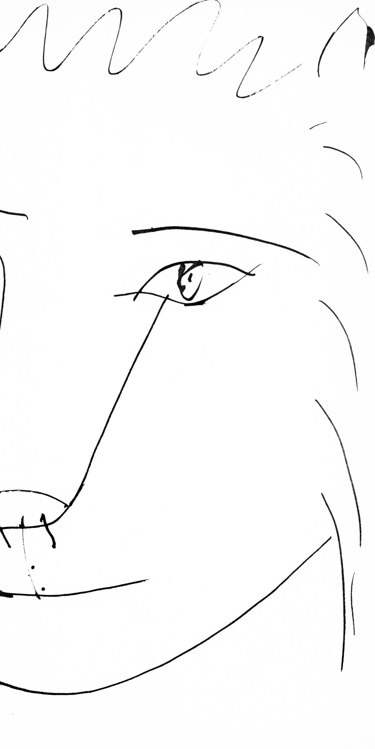Picasso, Tête de lion (Cramer 84 ; Johnson/Stein 77) (d'après) - Gris Animal Print par Pablo Picasso