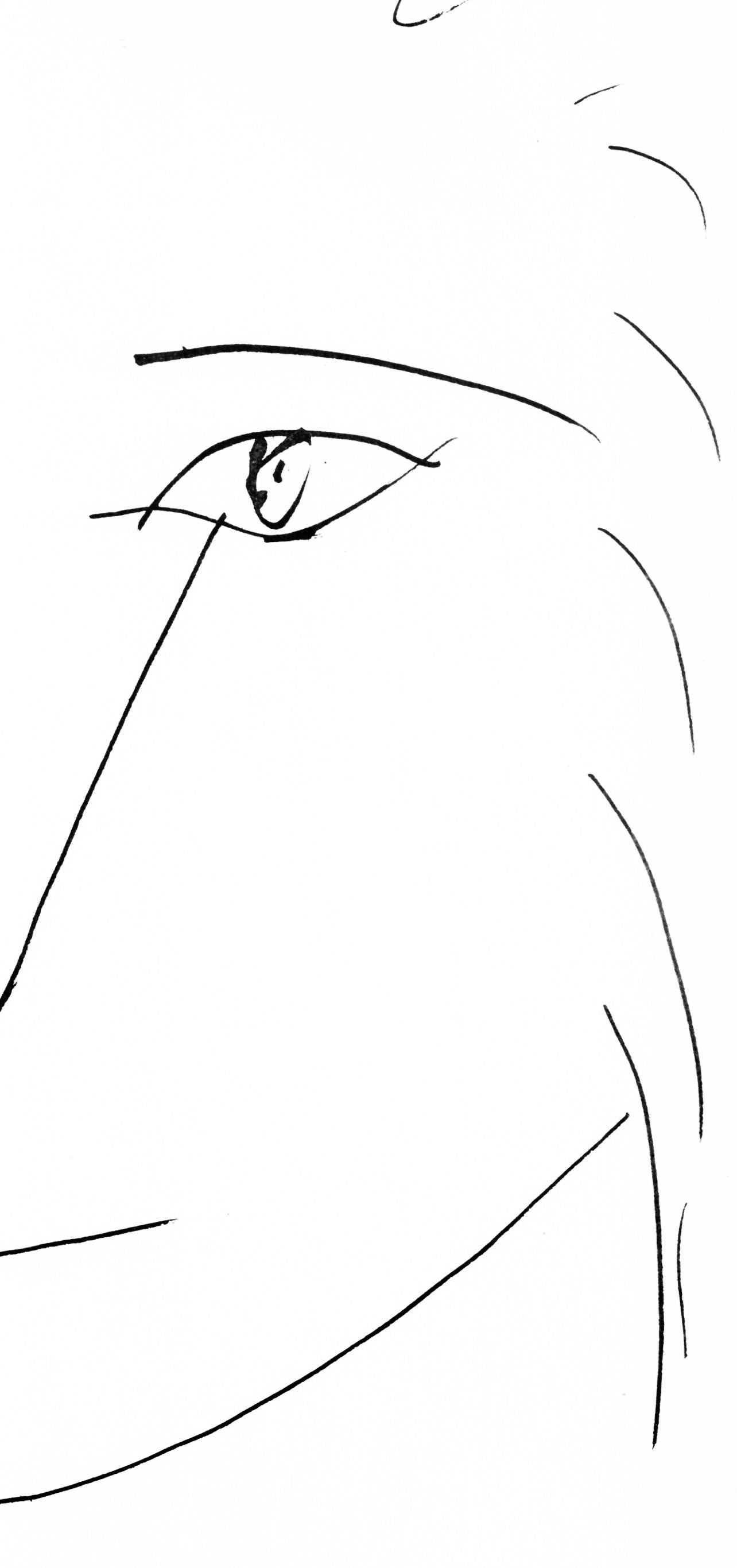 Picasso, Tête de lion (Cramer 84 ; Johnson/Stein 77) (d'après) en vente 1