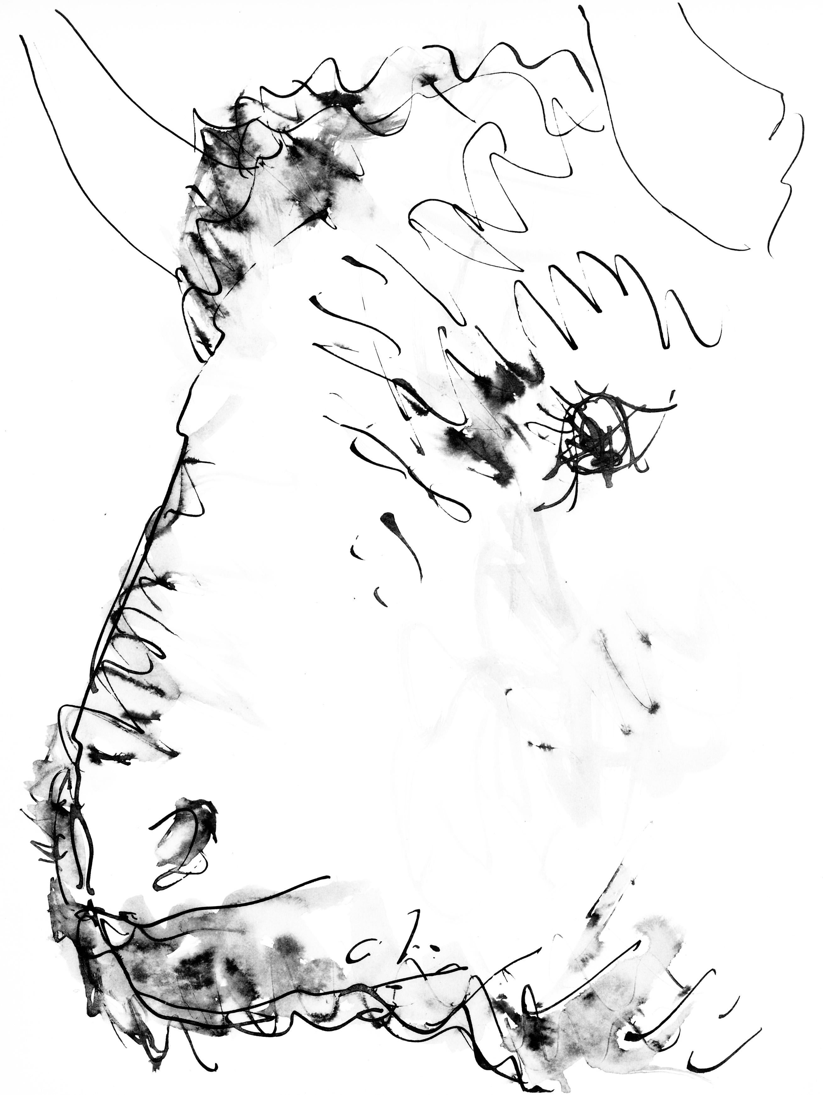 Picasso, Tête de taureau (Cramer 84 ; Johnson/Stein 77) (d'après)