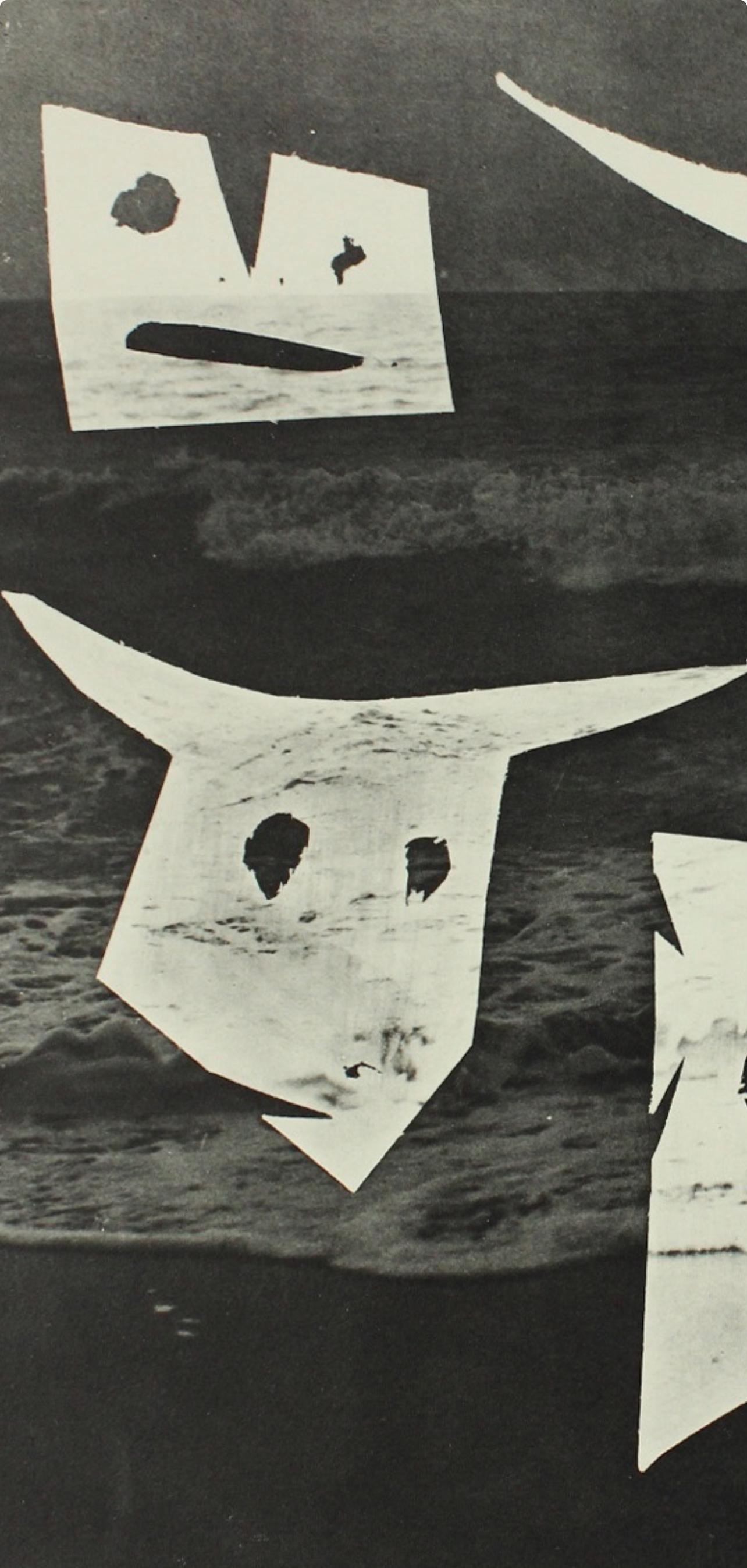 Picasso & Villers, Composition, Diurnes Découpages et Photographies (d'après) en vente 1