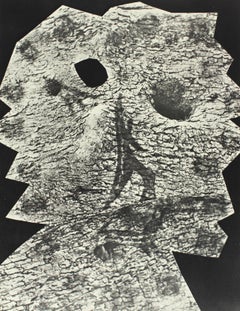 Picasso & Villers, Komposition, Diurnes Découpages et Photographies (nach)