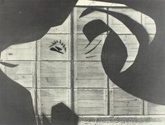 Picasso & Villers, Composition, Diurnes Découpages et Photographies (d'après)