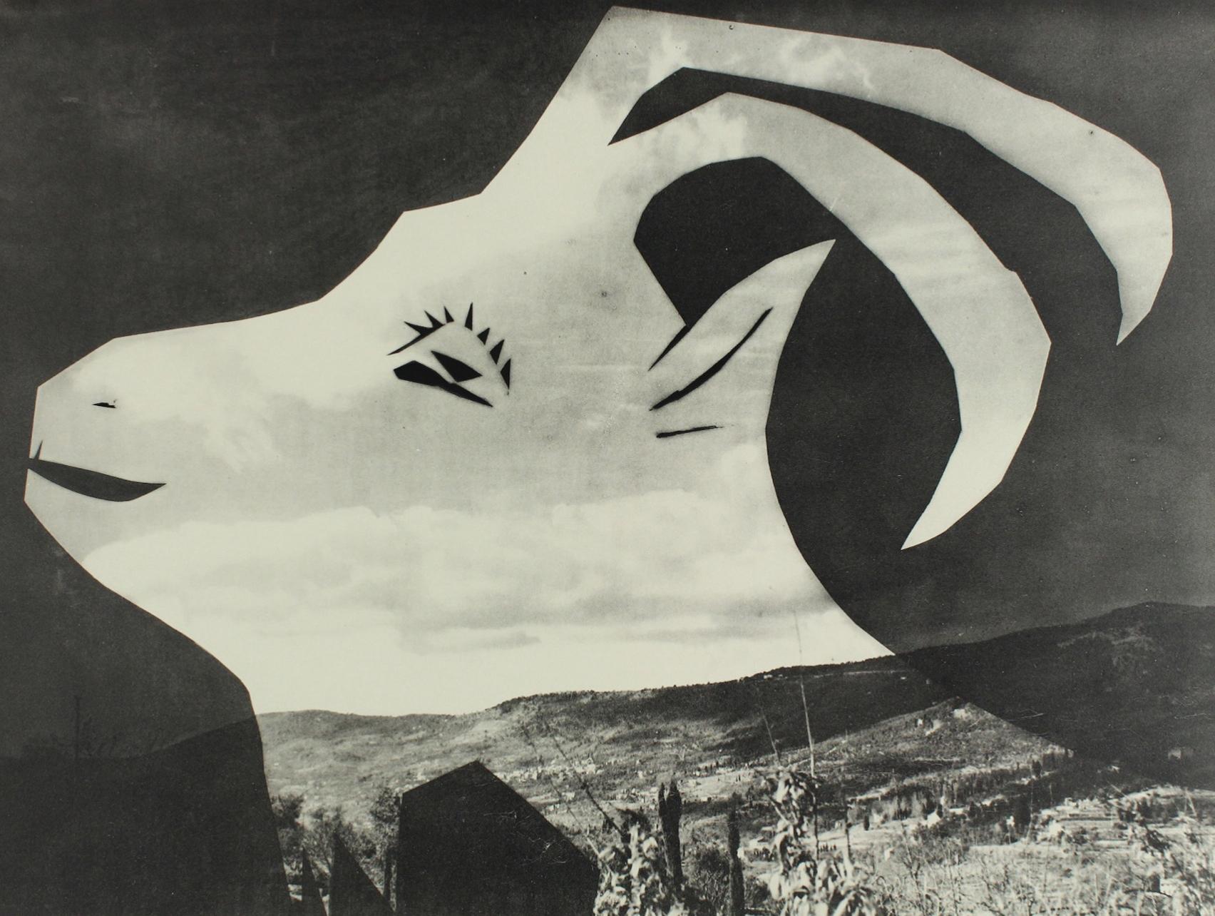 Picasso & Villers, Composition, Diurnes Découpages et Photographies (d'après)